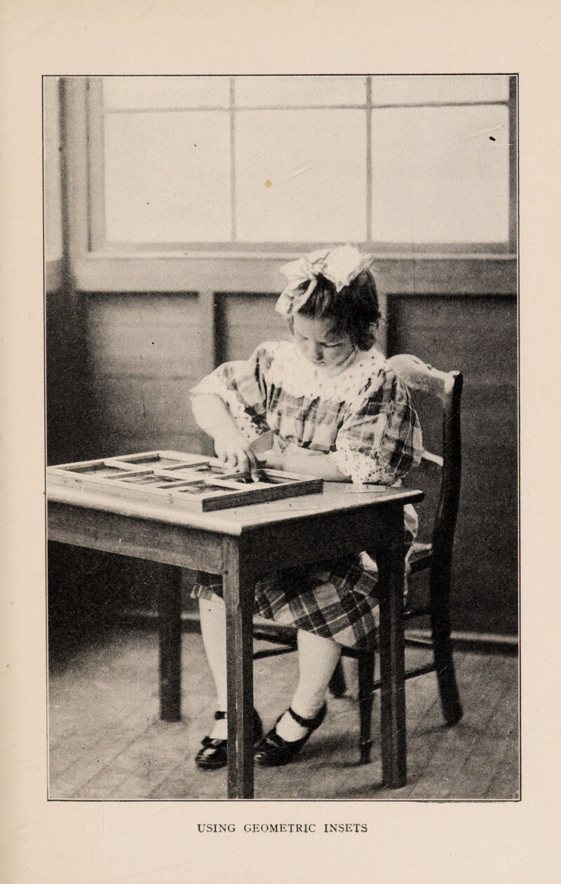 USING GEOMETRIC INSETS