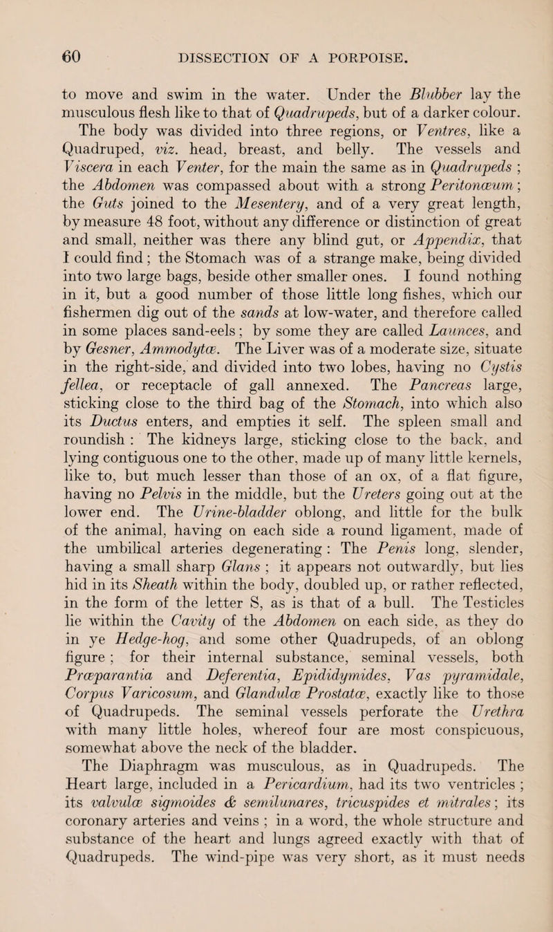 to move and swim in the water. Under the Blubber lay the musculous flesh like to that of Quadrupeds, but of a darker colour. The body was divided into three regions, or Ventres, like a Quadruped, viz. head, breast, and belly. The vessels and Viscera in each Venter, for the main the same as in Quadrupeds ; the Abdomen was compassed about with a strong Peritonceum; the Guts joined to the Mesentery, and of a very great length, by measure 48 foot, without any difference or distinction of great and small, neither was there any blind gut, or Appendix, that I could find; the Stomach was of a strange make, being divided into two large bags, beside other smaller ones. I found nothing in it, but a good number of those little long fishes, which our fishermen dig out of the sands at low-water, and therefore called in some places sand-eels; by some they are called Launces, and by Gesner, Ammodytce. The Liver was of a moderate size, situate in the right-side, and divided into two lobes, having no Cystis fellea, or receptacle of gall annexed. The Pancreas large, sticking close to the third bag of the Stomach, into which also its Ductus enters, and empties it self. The spleen small and roundish : The kidneys large, sticking close to the back, and lying contiguous one to the other, made up of many little kernels, like to, but much lesser than those of an ox, of a flat figure, having no Pelvis in the middle, but the Ureters going out at the lower end. The Urine-bladder oblong, and little for the bulk of the animal, having on each side a round ligament, made of the umbilical arteries degenerating : The Penis long, slender, having a small sharp Gians ; it appears not outwardly, but lies hid in its Sheath within the body, doubled up, or rather reflected, in the form of the letter S, as is that of a bull. The Testicles lie within the Cavity of the Abdomen on each side, as they do in ye Hedge-hog, and some other Quadrupeds, of an oblong figure ; for their internal substance, seminal vessels, both Prceparantia and Deferentia, Epididymides, Vas pyramidale, Corpus Varicosum, and Glandulce Prostatce, exactly like to those of Quadrupeds. The seminal vessels perforate the Urethra with many little holes, whereof four are most conspicuous, somewhat above the neck of the bladder. The Diaphragm was musculous, as in Quadrupeds. The Heart large, included in a Pericardium, had its two ventricles ; its valvulce sigmoides & semilunares, tricuspides et mitrales; its coronary arteries and veins ; in a word, the whole structure and substance of the heart and lungs agreed exactly with that of Quadrupeds. The wind-pipe was very short, as it must needs