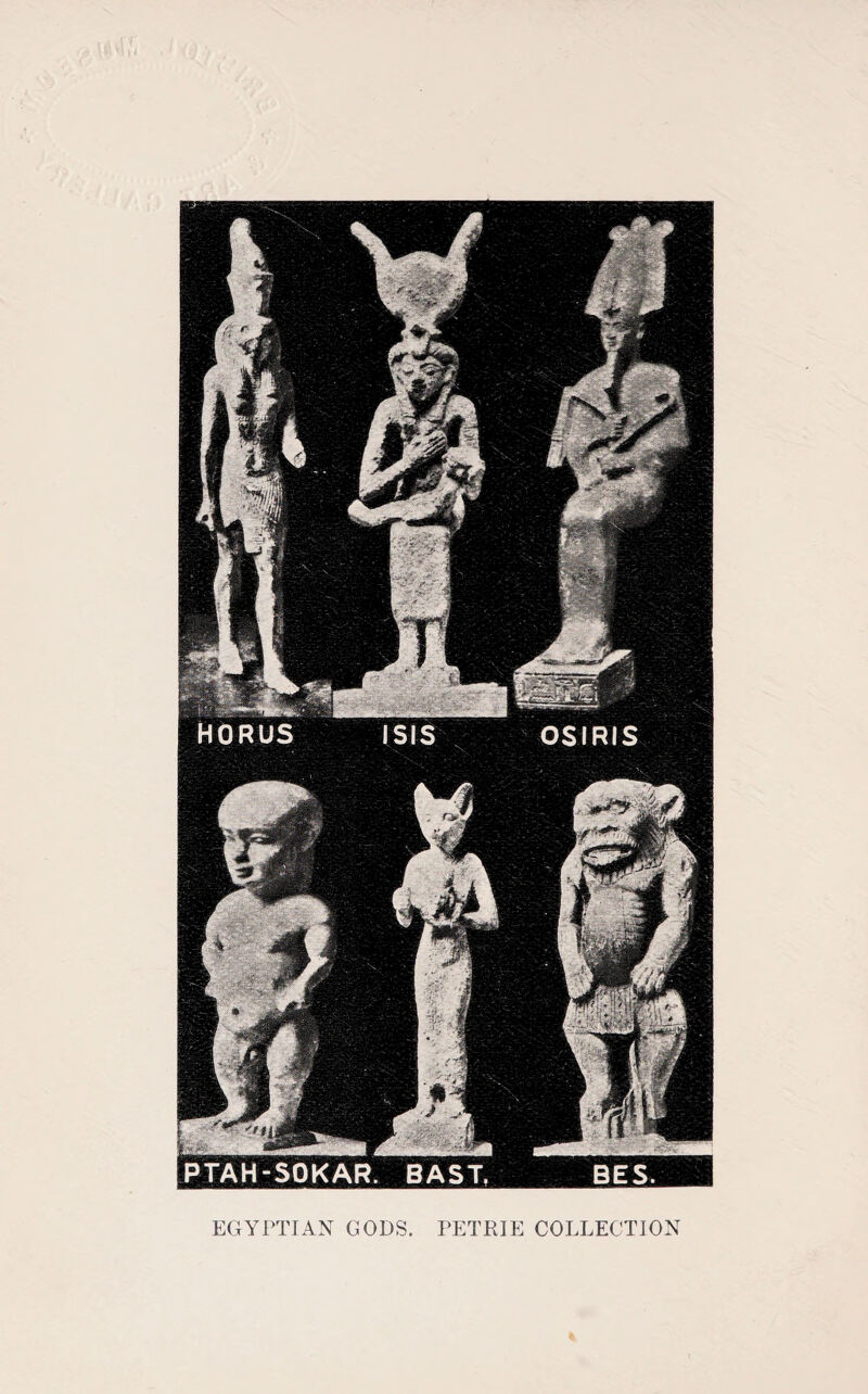 EGYPTIAN GODS. PETRIE COLLECTION