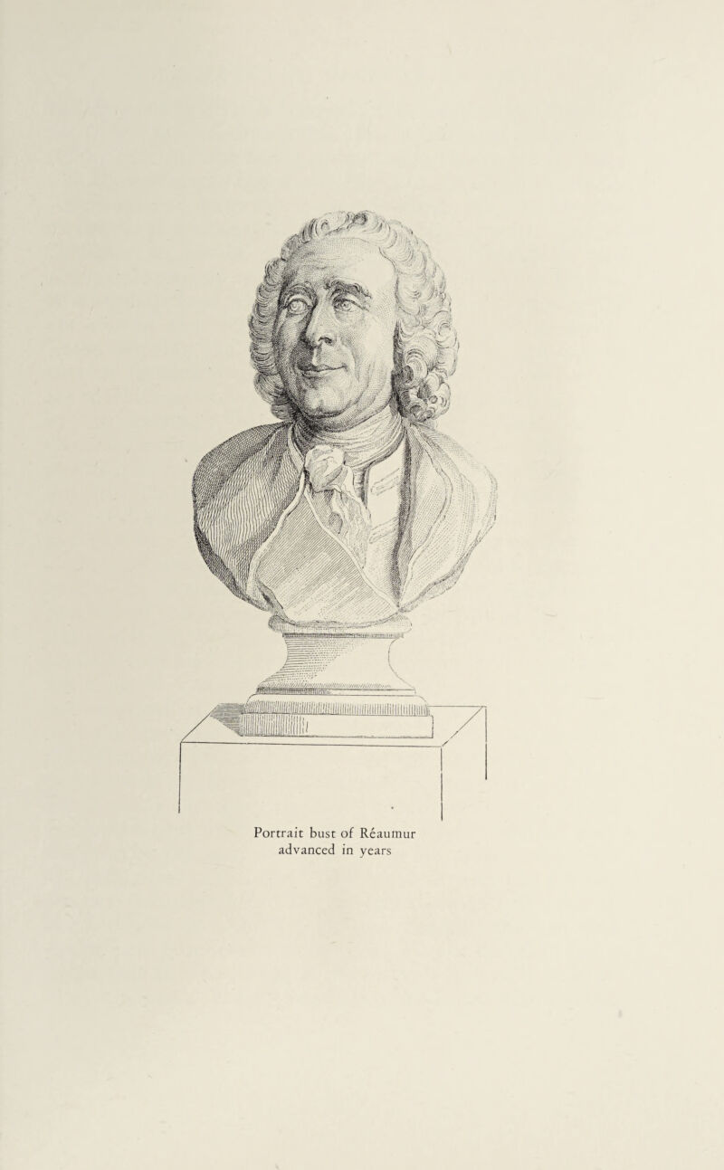 Portrait bust of Réaumur advanced in years