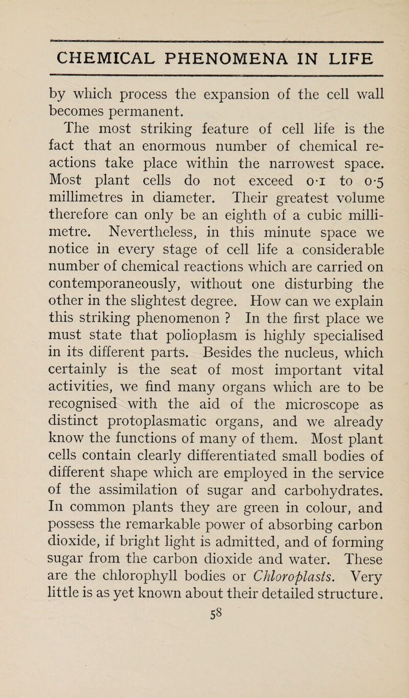 by which process the expansion of the cell wall becomes permanent. The most striking feature of cell life is the fact that an enormous number of chemical re¬ actions take place within the narrowest space. Most plant cells do not exceed o-i to 0-5 millimetres in diameter. Their greatest volume therefore can only be an eighth of a cubic milli¬ metre. Nevertheless, in this minute space we notice in every stage of cell life a considerable number of chemical reactions which are carried on contemporaneously, without one disturbing the other in the slightest degree. How can we explain this striking phenomenon ? In the first place we must state that polioplasm is highly specialised in its different parts. Besides the nucleus, which certainly is the seat of most important vital activities, we find many organs which are to be recognised with, the aid of the microscope as distinct protoplasmatic organs, and we already know the functions of many of them. Most plant cells contain clearly differentiated small bodies of different shape which are employed in the service of the assimilation of sugar and carbohydrates. In common plants they are green in colour, and possess the remarkable power of absorbing carbon dioxide, if bright light is admitted, and of forming sugar from the carbon dioxide and water. These are the chlorophyll bodies or Chloroplasts. Very little is as yet known about their detailed structure.