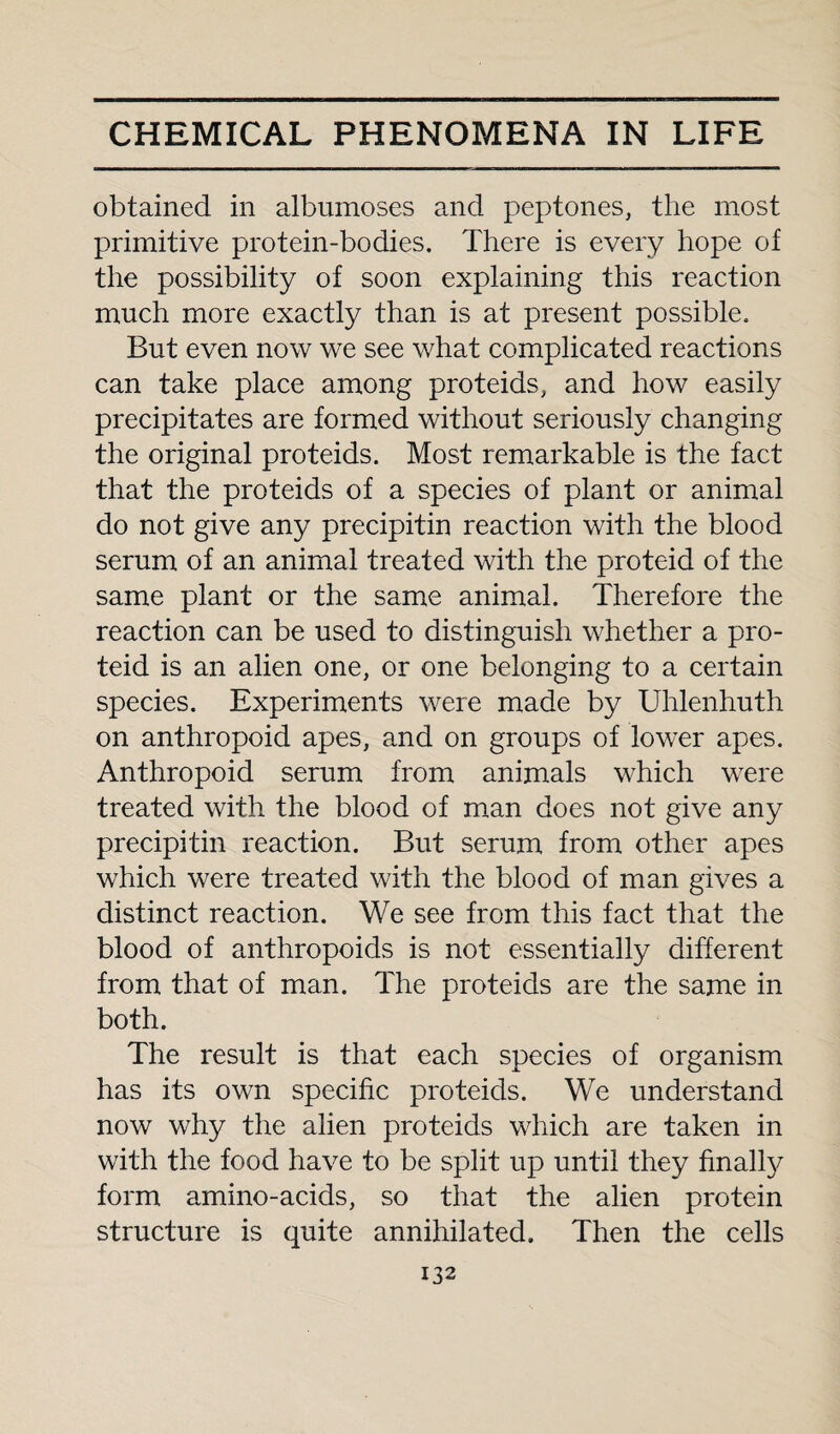 obtained in albumoses and peptones, the most primitive protein-bodies. There is every hope of the possibility of soon explaining this reaction much more exactly than is at present possible. But even now we see what complicated reactions can take place among proteids, and how easily precipitates are formed without seriously changing the original proteids. Most remarkable is the fact that the proteids of a species of plant or animal do not give any precipitin reaction with the blood serum of an animal treated with the proteid of the same plant or the same animal. Therefore the reaction can be used to distinguish whether a pro¬ teid is an alien one, or one belonging to a certain species. Experiments were made by Uhlenhuth on anthropoid apes, and on groups of lower apes. Anthropoid serum from animals which were treated with the blood of man does not give any precipitin reaction. But serum from other apes which were treated with the blood of man gives a distinct reaction. We see from this fact that the blood of anthropoids is not essentially different from that of man. The proteids are the same in both. The result is that each species of organism has its own specific proteids. We understand now why the alien proteids which are taken in with the food have to be split up until they finally form amino-acids, so that the alien protein structure is quite annihilated. Then the cells
