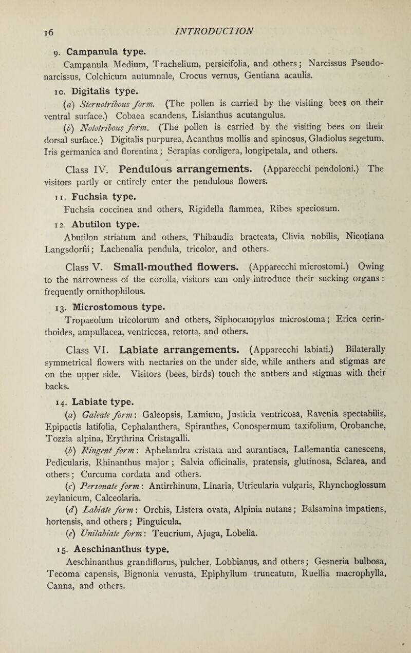9. Campanula type. Campanula Medium, Trachelium, persicifolia, and others; Narcissus Pseudo¬ narcissus, Colchicum autumnale, Crocus vernus, Gentiana acaulis. 10. Digitalis type. (a) Sternotribous form. (The pollen is carried by the visiting bees on their ventral surface.) Cobaea scandens, Lisianthus acutangulus. (b) Nototribous form. (The pollen is carried by the visiting bees on their dorsal surface.) Digitalis purpurea, Acanthus mollis and spinosus, Gladiolus segetum, Iris germanica and florentina; Serapias cordigera, longipetala, and others. Class IV. Pendulous arrangements. (Apparecchi pendoloni.) The visitors partly or entirely enter the pendulous flowers. 11. Fuchsia type. Fuchsia coccinea and others, Rigidella flammea, Ribes speciosum. 12. Abutilon type. Abutilon striatum and others, Thibaudia bracteata, Clivia nobilis, Nicotiana Langsdorfii; Lachenalia pendula, tricolor, and others. Class V. Small-mouthed flowers. (Apparecchi microstomi.) Owing to the narrowness of the corolla, visitors can only introduce their sucking organs: frequently ornithophilous. 13. Microstomous type. Tropaeolum tricolorum and others, Siphocampylus microstoma; Erica cerin- thoides, ampullacea, ventricosa, retorta, and others. Class VI. Labiate arrangements. (Apparecchi labiati.) Bilaterally symmetrical flowers with nectaries on the under side, while anthers and stigmas are on the upper side. Visitors (bees, birds) touch the anthers and stigmas with their backs. 14. Labiate type. (a) Galeate form\ Galeopsis, Lamium, Justicia ventricosa, Ravenia spectabilis, Epipactis latifolia, Cephalanthera, Spiranthes, Conospermum taxifolium, Orobanche, Tozzia alpina, Erythrina Cristagalli. (b) Ringent form: Aphelandra cristata and aurantiaca, Lallemantia canescens, Pedicularis, Rhinanthus major; Salvia officinalis, pratensis, glutinosa, Sclarea, and others; Curcuma cordata and others. (c) Personate form: Antirrhinum, Linaria, Utricularia vulgaris, Rhynchoglossum zeylanicum, Calceolaria. (d) Labiate form : Orchis, Listera ovata, Alpinia nutans; Balsamina impatiens, hortensis, and others; Pinguicula. (1e) Unilabiate form: Teucrium, Ajuga, Lobelia. 15. Aeschinanthus type. Aeschinanthus grandiflorus, pulcher, Lobbianus, and others; Gesneria bulbosa, Tecoma capensis, Bignonia venusta, Epiphyllum truncatum, Ruellia macrophylla, Canna, and others.