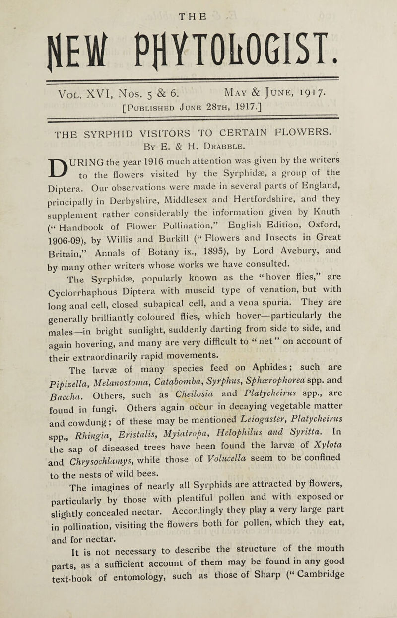 THE PHVTOliOGIST. Vol. XVI, Nos. 5 & 6. M AY & JUNE, 1917. [Published June 28th, 1917.] THE SYRPHID VISITORS TO CERTAIN FLOWERS. By E. & H. Drabble. DURING the year 1916 much attention was given by the writers to the flowers visited by the Syrphidae, a group of the Diptera. Our observations were made in several parts of England, principally in Derbyshire, Middlesex and Hertfordshire, and they supplement rather considerably the information given by Knuth (“ Handbook of Flower Pollination,” English Edition, Oxford, 1906-09), by Willis and Burkill (“ Flowers and Insects in Great Britain,” Annals of Botany ix., 1895), by Lord Avebury, and by many other writers whose works we have consulted. The Syrphidae, popularly known as the “ hover flies,” are Cyclorrhaphous Diptera with muscid type of venation, but with long anal cell, closed subapical cell, and a vena spuria. They are generally brilliantly coloured flies, which hover—particularly the males_in bright sunlight, suddenly darting from side to side, and again hovering, and many are very difficult to “ net” on account of their extraordinarily rapid movements. The larvae of many species feed on Aphides; such are Pipizella, Melanostoma, Catabomba, Syrphus, Sphcerophorea spp. and Baccha. Others, such as Cheilosia and Platycheivus spp., are found in fungi. Others again occur in decaying vegetable matter and cowdung; of these may be mentioned Leiogaster, Platycheivus spp., Rhingia} Eristalis, Myiatropa, Helophilus and Syritta. In the sap of diseased trees have been found the larvae of Xylota and Chvysochlamys, while those of Volucella seem to be confined to the nests of wild bees. The imagines of nearly all Syrphids are attracted by flowers, particularly by those with plentiful pollen and with exposed or slightly concealed nectar. Accordingly they play a very large part in pollination, visiting the flowers both for pollen, which they eat, and for nectar. It is not necessary to describe the structui e of the mouth parts, as a sufficient account of them may be found in any good text-book of entomology, such as those of Sharp (“ Cambridge