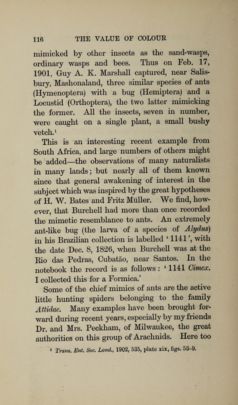 mimicked by other insects as the sand-wasps, ordinary wasps and bees. Thus on Feb. 17, 1901, Guy A. K. Marshall captured, near Salis¬ bury, Mashonaland, three similar species of ants (Hymenoptera) with a bug (Hemiptera) and a Locustid (Orthoptera), the two latter mimicking the former. All the insects, seven in number, were caught on a single plant, a small bushy vetch.1 This is an interesting recent example from South Africa, and large numbers of others might be added—the observations of many naturalists in many lands; but nearly all of them known since that general awakening of interest in the subject which was inspired by the great hypotheses of H. W. Bates and Fritz Muller. We find, how¬ ever, that Burchell had more than once recorded the mimetic resemblance to ants. An extremely ant-like bug (the larva of a species of Alydus) in his Brazilian collection is labelled 11141 ’, with the date Dec. 8, 1826, when Burchell was at the Rio das Pedras, Cubatao, near Santos. In the notebook the record is as follows : ‘1141 Cimex. I collected this for a Formica.’ Some of the chief mimics of ants are the active little hunting spiders belonging to the family Attidae. Many examples have been brought for¬ ward during recent years, especially by my friends Dr. and Mrs. Peckham, of Milwaukee, the great authorities on this group of Arachnids. Here too 1 Trans. Ent. Soc. Lond., 1902, 535, plate xix, figs. 53-9.
