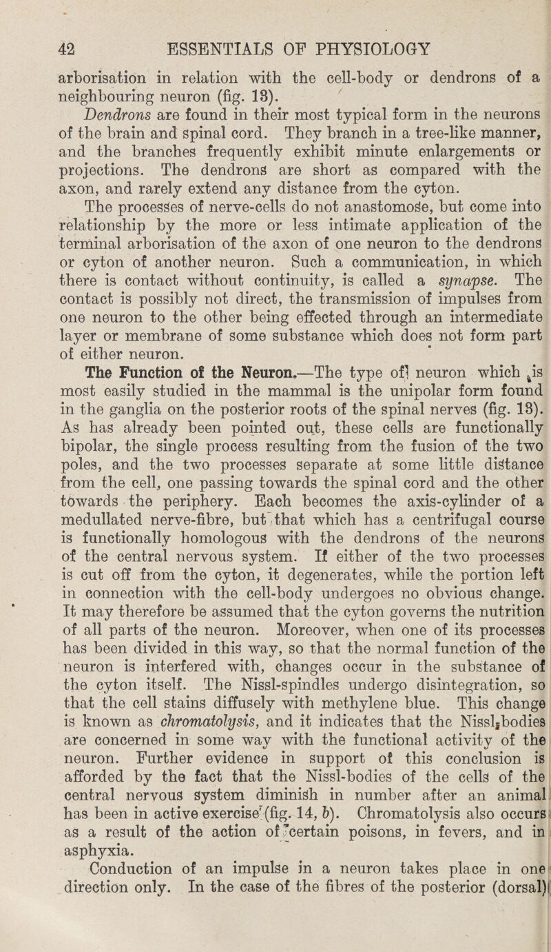 arborisation in relation with the cell-body or dendrons of a neighbouring neuron (fig. 13). Dendrons are found in their most typical form in the neurons of the brain and spinal cord. They branch in a tree-like manner, and the branches frequently exhibit minute enlargements or projections. The dendrons are short as compared with the axon, and rarely extend any distance from the cyton. The processes of nerve-cells do not anastomose, but come into relationship by the more or less intimate application of the terminal arborisation of the axon of one neuron to the dendrons or cyton of another neuron. Such a communication, in which there is contact without continuity, is called a synapse. The contact is possibly not direct, the transmission of impulses from one neuron to the other being effected through an intermediate layer or membrane of some substance which does not form part of either neuron. The Function of the Neuron,—The type ofl neuron which 4is most easily studied in the mammal is the unipolar form found in the ganglia on the posterior roots of the spinal nerves (fig. 13). As has already been pointed out, these cells are functionally bipolar, the single process resulting from, the fusion of the two poles, and the two processes separate at some little distance from the cell, one passing towards the spinal cord and the other towards the periphery. Each becomes the axis-cylinder of a medullated nerve-fibre, but that which has a centrifugal course is functionally homologous with the dendrons of the neurons of the central nervous system. If either of the two processes is cut off from the cyton, it degenerates, while the portion left in connection with the cell-body undergoes no obvious change. It may therefore be assumed that the cyton governs the nutrition of all parts of the neuron. Moreover, when one of its processes has been divided in this way, so that the normal function of the neuron is interfered with, changes occur in the substance of the cyton itself. The Nissl-spindles undergo disintegration, so that the cell stains diffusely with methylene blue. This change is known as chromatolysis, and it indicates that the Nissl5bodies are concerned in some way with the functional activity of the neuron. Further evidence in support of this conclusion is afforded by the fact that the Nissl-bodies of the cells of the central nervous system diminish in number after an animal has been in active exercise'(fig. 14, b). Chromatolysis also occurs as a result of the action of certain poisons, in fevers, and in asphyxia. Conduction of an impulse in a neuron takes place in one direction only. In the case of the fibres of the posterior (dorsal)l