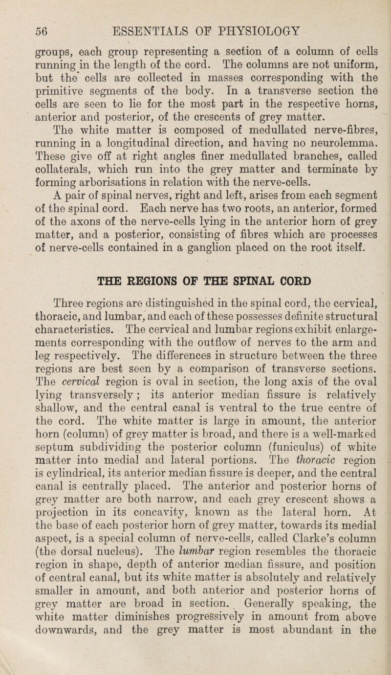 groups, each group representing a section of a column of cells running in the length of the cord. The columns are not uniform, but the* cells are collected in masses corresponding with the primitive segments of the body. In a transverse section the cells are seen to lie for the most part in the respective horns, anterior and posterior, of the crescents of grey matter. The white matter is composed of medullated nerve-fibres, running in a longitudinal direction, and having no neurolemma. These give off at right angles finer medullated branches, called collaterals, which run into the grey matter and terminate by forming arborisations in relation with the nerve-cells. A pair of spinal nerves, right and left, arises from each segment of the spinal cord. Each nerve has two roots, an anterior, formed of the axons of the nerve-cells lying in the anterior horn of grey matter, and a posterior, consisting of fibres which are processes of nerve-cells contained in a ganglion placed on the root itself. THE REGIONS OF THE SPINAL CORD Three regions are distinguished in the spinal cord, the cervical, thoracic, and lumbar, and each of these possesses definite structural characteristics. The cervical and lumbar regions exhibit enlarge¬ ments corresponding with the outflow of nerves to the arm and leg respectively. The differences in structure between the three regions are best seen by a comparison of transverse sections. The cervical region is oval in section, the long axis of the oval lying transversely; its anterior median fissure is relatively shallow, and the central canal is ventral to the true centre of the cord. The white matter is large in amount, the anterior horn (column) of grey matter is broad, and there is a well-marked septum subdividing the posterior column (funicuius) of white matter into medial and lateral portions. The thoracic region is cylindrical, its anterior median fissure is deeper, and the central canal is centrally placed. The anterior and posterior horns of grey matter are both narrow, and each grey crescent shows a projection in its concavity, known as the lateral horn. At the base of each posterior horn of grey matter, towards its medial aspect, is a special column of nerve-cells, called Clarke’s column (the dorsal nucleus). The lumbar region resembles the thoracic region in shape, depth of anterior median fissure, and position of central canal, but its white matter is absolutely and relatively smaller in amount, and both anterior and posterior horns of grey matter are broad in section. Generally speaking, the white matter diminishes progressively in amount from above downwards, and the grey matter is most abundant in the