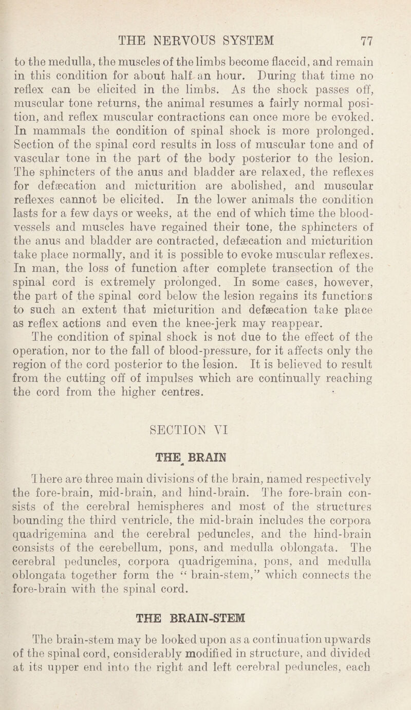 to the medulla, the muscles of the limbs become flaccid, and remain in this condition for about half, an hour. During that time no reflex can he elicited in the limbs. As the shock passes off, muscular tone returns, the animal resumes a fairly normal posi¬ tion, and reflex muscular contractions can once more be evoked. In mammals the condition of spinal shock is more prolonged. Section of the spinal cord results in loss of muscular tone and of vascular tone in the part of the body posterior to the lesion. The sphincters of the anus and bladder are relaxed, the reflexes for defeecation and micturition are abolished, and muscular reflexes cannot be elicited. In the lower animals the condition lasts for a few days or weeks, at the end of which time the blood¬ vessels and muscles have regained their tone, the sphincters of the anus and bladder are contracted, defsecation and micturition take place normally, and it is possible to evoke muscular reflexes. In man, the loss of function after complete transection of the spinal cord is extremely prolonged. In some cases, however, the part of the spinal cord below the lesion regains its functions to such an extent that micturition and defaecat-ion take place as reflex actions and even the knee-jerk may reappear. The condition of spinal shock is not due to the effect of the operation, nor to the fall of blood-pressure, for it affects only the region of the cord posterior to the lesion. It is believed to result from the cutting off of impulses which are continually reaching the cord from the higher centres. SECTION VI THE BRAIN There are three main divisions of the brain, named respectively the fore-brain, mid-brain, and hind-brain. The fore-brain con¬ sists of the cerebral hemispheres and most of the structures bounding the third ventricle, the mid-brain includes the corpora quadrigemina and the cerebral peduncles, and the hind-brain consists of the cerebellum, pons, and medulla oblongata. The cerebral peduncles, corpora quadrigemina, pons, and medulla oblongata together form the “ brain-stem,” which connects the fore-brain with the spinal cord. THE BRAIN-STEM The brain-stem may be looked upon as a continuation upwards of the spinal cord, considerably modified in structure, and divided at its upper end into the right and left cerebral peduncles, each