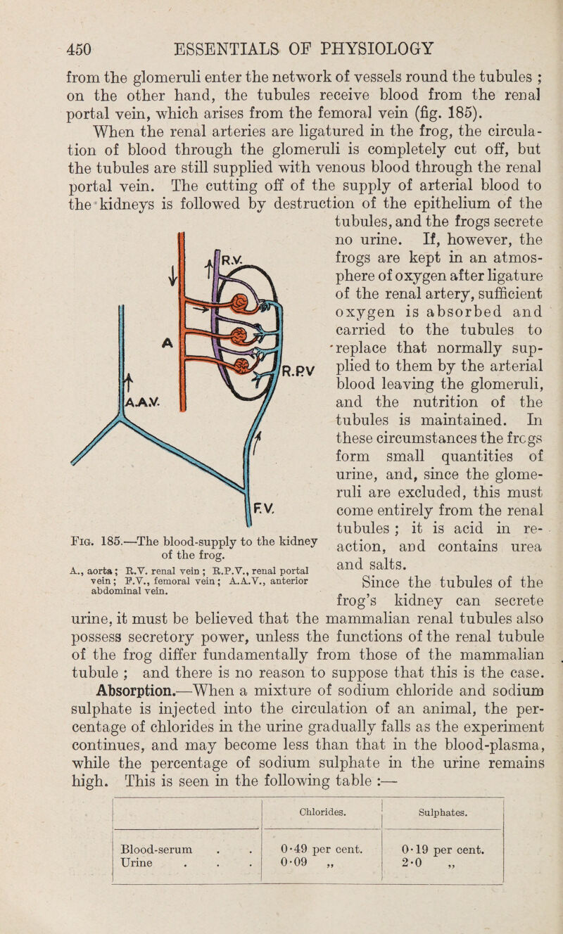 from the glomeruli enter the network of vessels round the tubules ; on the other hand, the tubules receive blood from the renal portal vein, which arises from the femoral vein (fig. 185). When the renal arteries are ligatured in the frog, the circula¬ tion of blood through the glomeruli is completely cut off, but the tubules are still supplied with venous blood through the renal portal vein. The cutting off of the supply of arterial blood to the kidneys is followed by destruction of the epithelium of the tubules, and the frogs secrete no urine. If, however, the frogs are kept in an atmos¬ phere of oxygen after ligature of the renal artery, sufficient oxygen is absorbed and carried to the tubules to 'replace that normally sup¬ plied to them by the arterial blood leaving the glomeruli, and the nutrition of the tubules is maintained. In these circumstances the frcgs form small quantities of urine, and, since the glome¬ ruli are excluded, this must come entirely from the renal tubules ; it is acid in re¬ action, and contains urea and salts. Since the tubules of the frog’s kidney can secrete urine, it must be believed that the mammalian renal tubules also possess secretory power, unless the functions of the renal tubule of the frog differ fundamentally from those of the mammalian tubule ; and there is no reason to suppose that this is the case. Absorption.—When a mixture of sodium chloride and sodium sulphate is injected into the circulation of an animal, the per¬ centage of chlorides in the urine gradually falls as the experiment continues, and may become less than that in the blood-plasma, while the percentage of sodium sulphate in the urine remains high. This is seen in the following table :— [ Chlorides. Sulphates. Blood-serum Urine 0-49 per cent. 0-09 „ 0*19 per cent. 2-0 R.PV Fig. 185.—-The blood-supply to the kidney of the frog. A., aorta; R.V. renal vein ; R.P.V., renal portal vein; P.V., femoral vein; abdominal vein. A.A.V., anterior