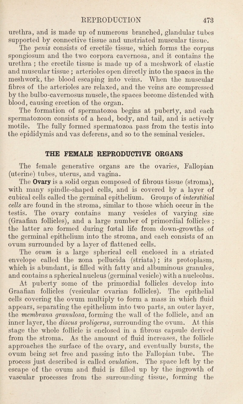 urethra, and is made up of numerous branched, glandular tubes supported by connective tissue and unstriated muscular tissue. The penis consists of erectile tissue, which forms the corpus spongiosum and the two corpora cavernosa, and it contains the urethra ; the erectile tissue is made up of a meshwork of elastic and muscular tissue ; arterioles open directly into the spaces in the meshwork, the blood escaping into veins. When the muscular fibres of the arterioles are relaxed, and the veins are compressed by the bulbo-cavernosus muscle, the spaces become distended with blood, causing erection of the organ. The formation of spermatozoa begins at puberty, and each spermatozoon consists of a head, body, and tail, and is actively motile. The fully formed spermatozoa pass from the testis into the epididymis and vas deferens, and so to the seminal vesicles. THE FEMALE REPRODUCTIVE ORGANS The female generative organs are the ovaries, Fallopian (uterine) tubes, uterus, and vagina. The Ovary is a solid organ composed of fibrous tissue (stroma), with many spindle-shaped cells, and is covered by a layer of cubical cells called the germinal epithelium. Groups of interstitial cells are found in the stroma, similar to those which occur in the testis. The ovary contains many vesicles of varying size (Graafian follicles), and a large number of primordial follicles ; the latter are formed during foetal life from down-growths of the germinal epithelium into the stroma, and each consists of an ovum surrounded by a layer of flattened cells. The ovum is a large spherical cell enclosed in a striated envelope called the zona pellucida (striata) ; its protoplasm, which is abundant, is filled with fatty and albuminous granules, and contains a spherical nucleus (germinal vesicle) with a nucleolus. At puberty some of the primordial follicles develop into Graafian follicles (vesicular ovarian follicles). The epithelial cells covering the ovum multiply to form a mass in which fluid appears, separating the epithelium into two parts, an outer layer, the membrana granulosa, forming the wall of the follicle, and an inner layer, the discus proligerus, surrounding the ovum. At this stage the whole follicle is enclosed in a fibrous capsule derived from the stroma. As the amount of fluid increases, the follicle approaches the surface of the ovary, and eventually bursts, the ovum being set free and passing into the Fallopian tube. The process just described is called ovulation. The space left by the escape of the ovum and fluid is filled up by the ingrowth of vascular processes from the surrounding tissue, forming the