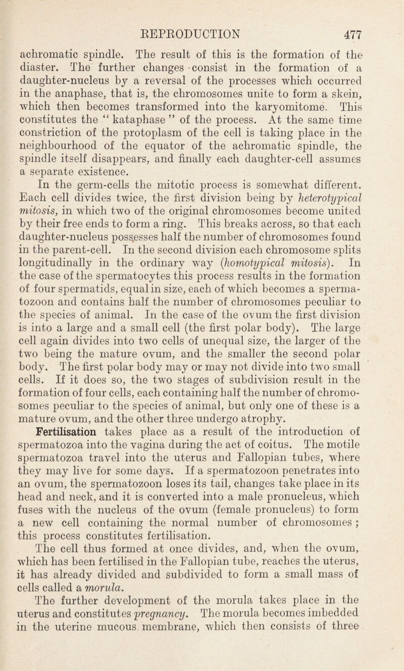achromatic spindle. The result of this is the formation of the diaster. The further changes -consist in the formation of a daughter-nucleus by a reversal of the processes which occurred in the anaphase, that is, the chromosomes unite to form a skein, which then becomes transformed into the karyomitome. This constitutes the “ kataphase ” of the process. At the same time constriction of the protoplasm of the cell is taking place in the neighbourhood of the equator of the achromatic spindle, the spindle itself disappears, and finally each daughter-cell assumes a separate existence. In the germ-cells the mitotic process is somewhat different. Each cell divides twice, the first division being by heterotypical mitosis, in which two of the original chromosomes become united by their free ends to form a ring. This breaks across, so that each daughter-nucleus possesses half the number of chromosomes found in the parent-cell. In the second division each chromosome splits longitudinally in the ordinary way (homoty'pical mitosis). In the case of the spermatocytes this process results in the formation of four spermatids, equal in size, each of which becomes a sperma¬ tozoon and contains half the number of chromosomes peculiar to the species of animal. In the case of the ovum the first division is into a large and a small cell (the first polar body). The large cell again divides into two cells of unequal size, the larger of the two being the mature ovum, and the smaller the second polar body. The first polar body may or may not divide into two small cells. If it does so, the two stages of subdivision result in the formation of four cells, each containing half the number of chromo¬ somes peculiar to the species of animal, but only one of these is a mature ovum, and the other three undergo atrophy. Fertilisation takes place as a result of the introduction of spermatozoa into the vagina during the act of coitus. The motile spermatozoa travel into the uterus and Fallopian tubes, where they may live for some days. If a spermatozoon penetrates into an ovum, the spermatozoon loses its tail, changes take place in its head and neck, and it is converted into a male pronucleus, which fuses with the nucleus of the ovum (female pronucleus) to form a new cell containing the normal number of chromosomes ; this process constitutes fertilisation. The cell thus formed at once divides, and, when the ovum, which has been fertilised in the Fallopian tube, reaches the uterus, it has already divided and subdivided to form a small mass of cells called a morula. The further development of the morula takes place in the uterus and constitutes yregnancy. The morula becomes imbedded in the uterine mucous membrane, which then consists of three