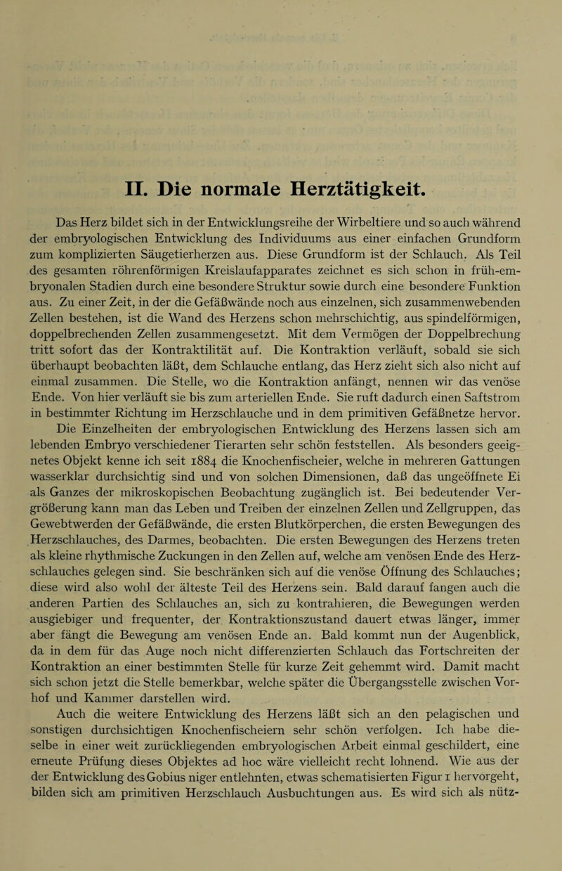 Das Herz bildet sich in der Entwicklungsreihe der Wirbeltiere und so auch während der embryologischen Entwicklung des Individuums aus einer einfachen Grundform zum komplizierten Säugetierherzen aus. Diese Grundform ist der Schlauch. Als Teil des gesamten röhrenförmigen Kreislaufapparates zeichnet es sich schon in früh-em¬ bryonalen Stadien durch eine besondere Struktur sowie durch eine besondere Funktion aus. Zu einer Zeit, in der die Gefäßwände noch aus einzelnen, sich zusammen webenden Zellen bestehen, ist die Wand des Herzens schon mehrschichtig, aus spindelförmigen, doppelbrechenden Zellen zusammengesetzt. Mit dem Vermögen der Doppelbrechung tritt sofort das der Kontraktilität auf. Die Kontraktion verläuft, sobald sie sich überhaupt beobachten läßt, dem Schlauche entlang, das Herz zieht sich also nicht auf einmal zusammen. Die Stelle, wo die Kontraktion anfängt, nennen wir das venöse Ende. Von hier verläuft sie bis zum arteriellen Ende. Sie ruft dadurch einen Saftstrom in bestimmter Richtung im Herzschlauche und in dem primitiven Gefäßnetze hervor. Die Einzelheiten der embryologischen Entwicklung des Herzens lassen sich am lebenden Embryo verschiedener Tierarten sehr schön feststellen. Als besonders geeig¬ netes Objekt kenne ich seit 1884 die Knochenfischeier, welche in mehreren Gattungen wasserklar durchsichtig sind und von solchen Dimensionen, daß das ungeöffnete Ei als Ganzes der mikroskopischen Beobachtung zugänglich ist. Bei bedeutender Ver¬ größerung kann man das Leben und Treiben der einzelnen Zellen und Zellgruppen, das Gewebtwerden der Gefäßwände, die ersten Blutkörperchen, die ersten Bewegungen des Herzschlauches, des Darmes, beobachten. Die ersten Bewegungen des Herzens treten als kleine rhythmische Zuckungen in den Zellen auf, welche am venösen Ende des Herz¬ schlauches gelegen sind. Sie beschränken sich auf die venöse Öffnung des Schlauches; diese wird also wohl der älteste Teil des Herzens sein. Bald darauf fangen auch die anderen Partien des Schlauches an, sich zu kontrahieren, die Bewegungen werden ausgiebiger und frequenter, der Kontraktionszustand dauert etwas länger, immer aber fängt die Bewegung am venösen Ende an. Bald kommt nun der Augenblick, da in dem für das Auge noch nicht differenzierten Schlauch das Fortschreiten der Kontraktion an einer bestimmten Stelle für kurze Zeit gehemmt wird. Damit macht sich schon jetzt die Stelle bemerkbar, welche später die Übergangsstelle zwischen Vor¬ hof und Kammer darstellen wird. Auch die weitere Entwicklung des Herzens läßt sich an den pelagischen und sonstigen durchsichtigen Knochenfischeiern sehr schön verfolgen. Ich habe die¬ selbe in einer weit zurückliegenden embryologischen Arbeit einmal geschildert, eine erneute Prüfung dieses Objektes ad hoc wäre vielleicht recht lohnend. Wie aus der der Entwicklung desGobius niger entlehnten, etwas schematisierten Figur 1 hervorgeht, bilden sich am primitiven Herzschlauch Ausbuchtungen aus. Es wird sich als nütz-