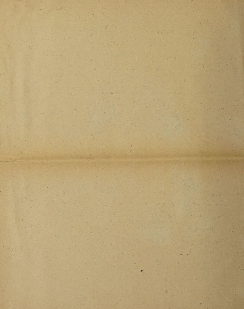 1 * . . .• •, / \ • » *• l » - 4 r; : •