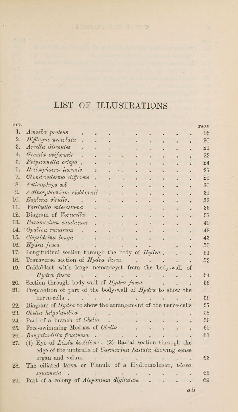 LIST OF ILLUSTRATIONS FIG. PAGE 1. Amoeba proteus ........ 16 2. Difflugia urceolata. 20 3. Arcella discoides ........ 21 4. Gromia oviformis ........ 23 5. Polystomella crispa ........ 24 6. Heliosphaera inermis *. .. 27 7. Chondrioderma diforme ....... 29 8. Actinophrys sol. 30 9. Actinosphaerium eichhornii ...... 31 10. Euglena viridis. ........ 32 11. Vorticella microstoma .. 36 12. Diagram of Vorticella. 37 13. Paramecium caudatum ...... 40 14. ' Opalina ranarum ........ 42 15. Clepsidrina longa. 43 16. Hydra fusca . 50 17. Longitudinal section through, the body of Hydra . 51 18. Transverse section of Hydra fusca..... 53 19. Cnidoblast with large nematocyst from the body-wall of Hydra fusca. 54 20. Section through body-wall of Hydra fusca 56 21. Preparation of part of the body-wall of Hydra to show the nerve-cells. 56 22. Diagram of Hydra to show the arrangement of the nerve-cells 57 23. Obelia helgolandica ........ 58 24. Part of a branch of Obelia ...... 59 25. Free-swimming Medusa of Obelia ..... 60 26. Bougainvillia fructuosa ....... 61 27. (1) Eye of Lizzia koellikeri; (2) Eadial section through the edge of the umbrella of Carmarina hastata showing sense organ and velum.. . • 63 28. The ciliated larva or Planula of a Hydromedusan, Clava squamata ......... • 65 29. Part of a colony of Alcyonium digitatum • a5 69