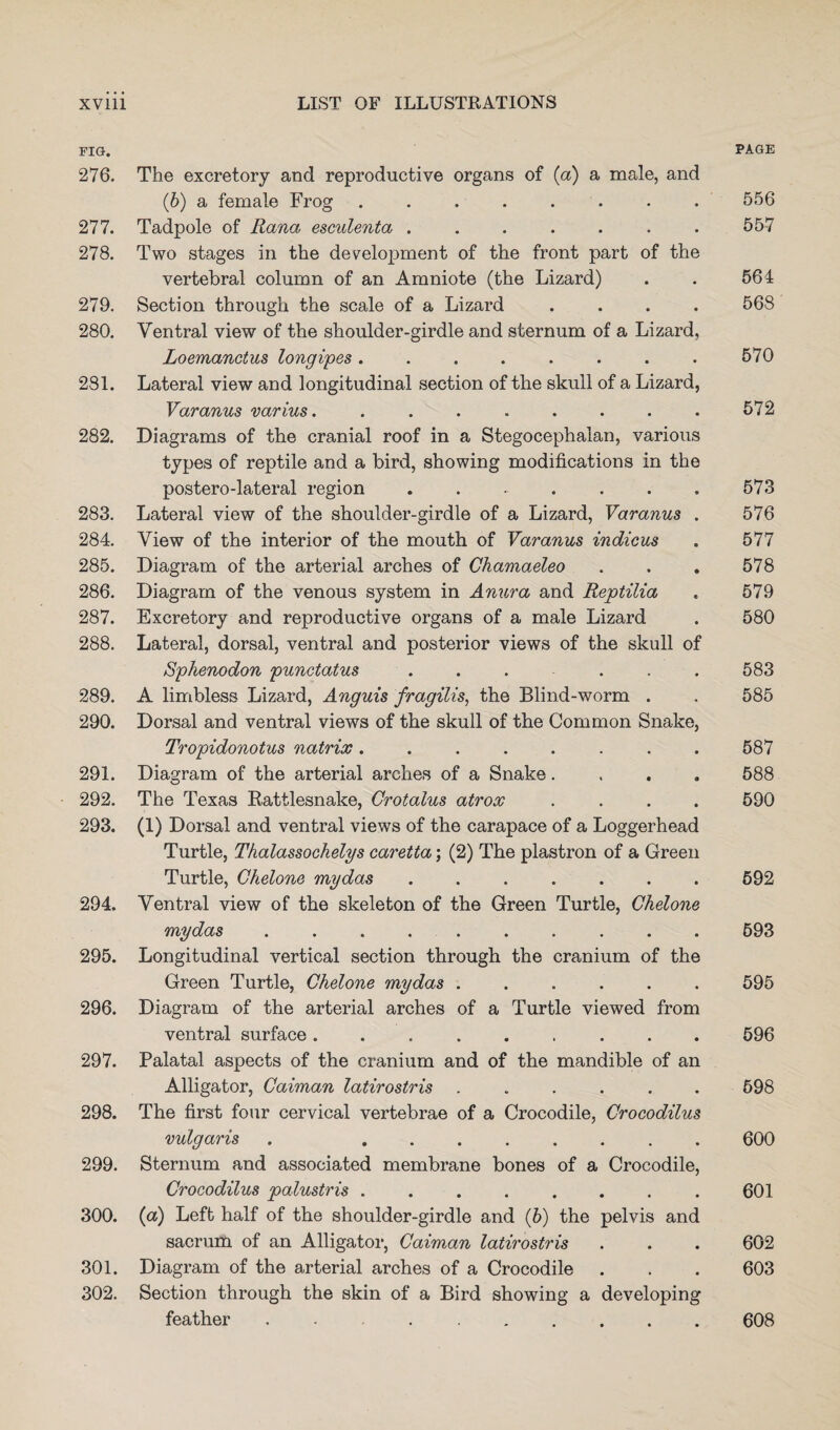 FIG. 276. The excretory and reproductive organs of (a) a male, and (6) a female Frog ........ 277. Tadpole of Rana esculenta ....... 278. Two stages in the development of the front part of the vertebral column of an Amniote (the Lizard) 279. Section through the scale of a Lizard . 280. Ventral view of the shoulder-girdle and sternum of a Lizard, Loemanetus longipes ........ 281. Lateral view and longitudinal section of the skull of a Lizard, Varanus varius. ........ 282. Diagrams of the cranial roof in a Stegocephalan, various types of reptile and a bird, showing modifications in the postero-lateral region ....... 283. Lateral view of the shoulder-girdle of a Lizard, Varanus . 284. View of the interior of the mouth of Varanus indicus 285. Diagram of the arterial arches of Chamaeleo 286. Diagram of the venous system in Anura and Reptilia 287. Excretory and reproductive organs of a male Lizard 288. Lateral, dorsal, ventral and posterior views of the skull of Sphenodon punctatus ...... 289. A limbless Lizard, Anguis fragilis, the Blind-worm . 290. Dorsal and ventral views of the skull of the Common Snake, Tropidonotus natrix ........ 291. Diagram of the arterial arches of a Snake.... 292. The Texas Rattlesnake, Crotalus atrox .... 293. (1) Dorsal and ventral views of the carapace of a Loggerhead Turtle, Thalassochelys caretta; (2) The plastron of a Green Turtle, Chelone mydas ....... 294. Ventral view of the skeleton of the Green Turtle, Chelone mydas . . . . . 295. Longitudinal vertical section through the cranium of the Green Turtle, Chelone mydas. 296. Diagram of the arterial arches of a Turtle viewed from ventral surface ......... 297. Palatal aspects of the cranium and of the mandible of an Alligator, Caiman latirostris ...... 298. The first four cervical vertebrae of a Crocodile, Crocodilus vulgaris . ........ 299. Sternum and associated membrane bones of a Crocodile, Crocodilus palustris ........ 300. (a) Left half of the shoulder-girdle and (6) the pelvis and sacrum of an Alligator, Caiman latirostris 301. Diagram of the arterial arches of a Crocodile 302. Section through the skin of a Bird showing a developing feather .. PAGE 556 557 564 568 570 572 573 576 577 578 579 580 583 585 587 588 590 592 593 595 596 698 600 601 602 603 608