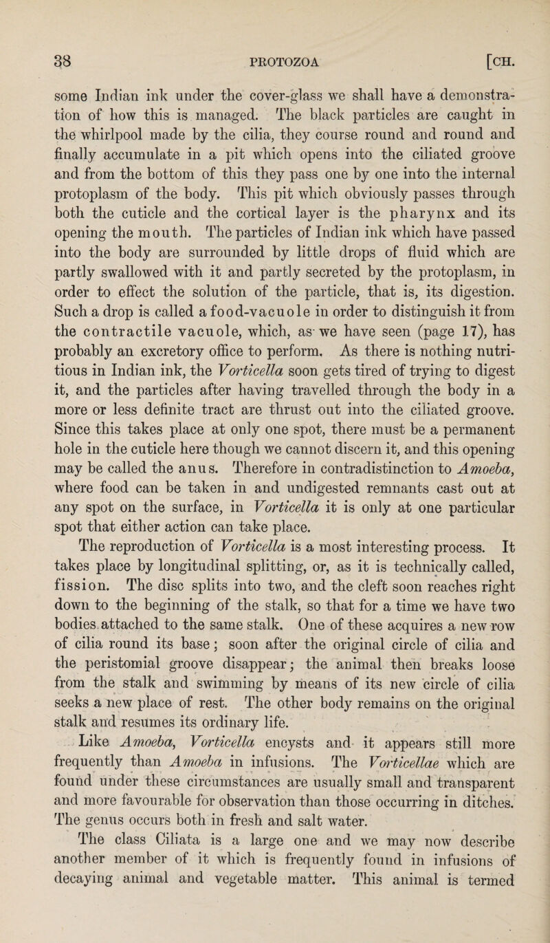 some Indian ink under the cover-glass we shall have a demonstra¬ tion of how this is managed. The black particles are caught in the whirlpool made by the cilia, they course round and round and finally accumulate in a pit which opens into the ciliated groove and from the bottom of this they pass one by one into the internal protoplasm of the body. This pit which obviously passes through both the cuticle and the cortical layer is the pharynx and its opening the mouth. The particles of Indian ink which have passed into the body are surrounded by little drops of fluid which are partly swallowed with it and partly secreted by the protoplasm, in order to effect the solution of the particle, that is, its digestion. Such a drop is called a food-vacuole in order to distinguish it from the contractile vacuole, which, as-we have seen (page 17), has probably an excretory office to perform. As there is nothing nutri¬ tious in Indian ink, the Vorticella soon gets tired of trying to digest it, and the particles after having travelled through the body in a more or less definite tract are thrust out into the ciliated groove. Since this takes place at only one spot, there must be a permanent hole in the cuticle here though we cannot discern it, and this opening may be called the anus. Therefore in contradistinction to Amoeba, where food can be taken in and undigested remnants cast out at any spot on the surface, in Vorticella it is only at one particular spot that either action can take place. The reproduction of Vorticella is a most interesting process. It takes place by longitudinal splitting, or, as it is technically called, fission. The disc splits into two, and the cleft soon reaches right down to the beginning of the stalk, so that for a time we have two bodies attached to the same stalk. One of these acquires a new row of cilia round its base; soon after the original circle of cilia and the peristomial groove disappear; the animal then breaks loose from the stalk and swimming by means of its new circle of cilia seeks a new place of rest. The other body remains on the original stalk and resumes its ordinary life. Like Amoeba, Vorticella encysts and it appears still more frequently than Amoeba in infusions. The Vorticellae which are found under these circumstances are usually small and transparent and more favourable for observation than those occurring in ditches. The genus occurs both in fresh and salt water. The class Ciliata is a large one and we may now describe another member of it which is frequently found in infusions of decaying animal and vegetable matter. This animal is termed