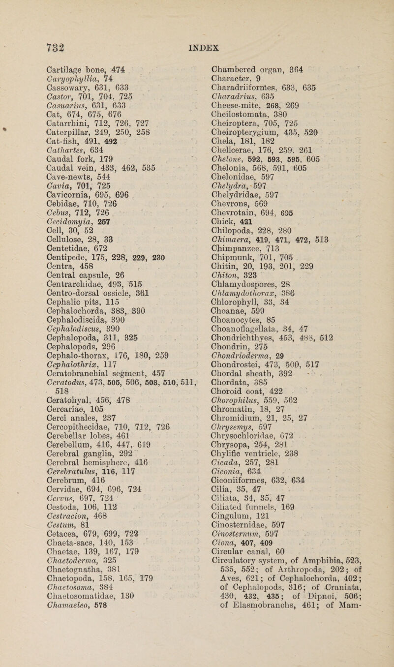 Cartilage bone, 474 Caryopliyllia, 74 Cassowary, 631, 633 Castor, 701, 704, 725 Casuarius, 631, 633 Cat, 674, 675, 676 Catarrhini, 712, 726, 727 Caterpillar, 249, 250, 258 Cat-fish, 491, 492 Cathartes, 634 Caudal fork, 179 Caudal vein, 433, 462, 535 Cave-newts, 544 Cavia, 701, 725 Cavicornia, 695, 696 Cebidae, 710, 726 Cebus, 712, 726 Cecidomyia, 257 Cell, 30, 52 Cellulose, 28, 33 Centetidae, 672 Centipede, 175, 228, 229, 230 Centra, 458 Central capsule, 26 Centrarchidae, 493, 515 Centro-dorsal ossicle, 361 Cephalic pits, 115 Cephalochorda, 383, 390 Cephalodiscida, 390 Cephalodiscus, 390 Cephalopoda, 311, 325 Cephalopods, 296 Cephalo-thorax, 176, 180, 259 Cephalothrix, 117 Ceratobranchial segment, 457 Ceratodus, 473, 505, 506, 508, 510, 511, ■ 518 Ceratohyal, 456, 478 Cercariae, 105 Cerci anales, 237 Cercopithecidae, 710, 712, 726 Cerebellar lobes, 461 Cerebellum, 416, 447, 619 Cerebral ganglia, 292 Cerebral hemisphere, 416 Cerebratulus, 116, 117 Cerebrum, 416 Cervidae, 694, 696, 724 Cervus, 697, 724 Cestoda, 106, 112 Cestracion, 468 Cestum, 81 Cetacea, 679, 699, 722 Chaeta-sacs, 140, 153 Chaetae, 139, 167, 179 Chaetoderma, 325 Chaetognatha, 381 Chaetopoda, 158, 165, 179 Chaetosoma, 384 Chaetosomatidae, 130 Chamaeleo, 578 Chambered organ, 364 Character, 9 Charadriiformes, 633, 635 Charadrius, 635 Cheese-mite, 268, 269 Cheilostomata, 380 Cheiroptera, 705, 725 Cheiropterygium, 435, 520 Chela, 181, 182 Chelicerae, 176, 259, 261 Chelone, 592, 593, 595, 605 Chelonia, 568, 591, 605 Chelonidae, 597 Chelydra, 597 Chelydridae, 597 Chevrons, 569 Chevrotain, 694, 695 Chick, 421 Chilopoda, 228, 280 Chimaera, 419, 471, 472, 513 Chimpanzee, 713 Chipmunk, 701, 705 Chitin, 20, 193, 201, 229 Chiton, 323 Chlamydospores, 28 Chlamy do thorax, 386 Chlorophyll, 33, 34 Choanae, 599 Choanocytes, 85 Choanoflagellata, 34, 47 Chondrichthyes, 453, 488, 512 Chondrin, 275 Chondrioderma, 29 Chondrostei, 473, 500, 517 Chordal sheath, 392 Chordata, 385 Choroid coat, 422 Chorophilus, 559, 562 Chromatin, 18, 27 Chromidium, 21, 25, 27 Chrysemys, 597 Chrysochloridae, 672 Chrysopa, 254, 281 Chylific ventricle, 238 Cicada, 257, 281 Ciconia, 634 Ciconiiformes, 632, 634 Cilia, 35, 47 Ciliata, 34, 35, 47 Ciliated funnels, 169 Cingulum, 121 Cinosternidae, 597 Cinosternum, 597 Ciona, 407, 409 Circular canal, 60 Circulatory system, of Amphibia, 523, 535, 552; of Arthropoda, 202; of Aves, 621; of Cephalochorda, 402; of Cephalopods, 316; of Craniata, 430, 432, 435; of Dipnoi, 506; of Elasmobranchs, 461; of Mam-