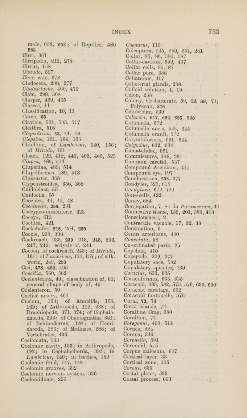 mals, 652, 653 ; of Reptiles, 580 588 Cirri, 361 Cirripedia, 212, 278 Cirrus, 158 Cistudo, 597 Civet cats, 678 Cladocera, 208, 277 Cladoselache, 460, 470 Clam, 298, 308 Clasper, 460, 465 Classes, 11 Classification, 10, 13 Clava, 65 Clavicle, 501, 503, 517 Cleithra, 516 Clepsidrina, 43, 44, 48 Clepsine, 161, 164, 166 Clitellum, of Lumbricus, 140, 156; of Hirudo, 161 Cloaca, 122, 412, 443, 463, 465, 523 Clupea, 489, 514 Clupeidae, 489-, 514 Clupeiformes, 489, 513 Clypeaster, 368 Clypeastroidea, 356, 368 Cmdoblast, 55 Cnidocils, 55 Coccidea, 44, 45, 48 Coccinella, 254, 281 Coccygeo-mesenteric, 623 Coccyx, 613 Cochlea, 421 Cockchafer, 248, 254, 255 Cockle, 298, 308- Cockroach, 233, 239, 243, 245, 246, 247, 249; ecdysis of, 244 Cocoon, of cockroach, 243; of Hirudo, 161; of Lumbricus, 154,157; of silk¬ worm, 249, 250 Cod, 478, 482, .495 Goecilia, 560, 562 Coelenterata, 49; classification of, 81; general shape of body of, 49 Coelenteron, 50 Coeliac artery, 461 Coelom, 133; of Annelids, 158, 162; of Arthropods, 192, 238; of Brachiopods, 371, 374; of Cephalo- chorda, 393; of Chaetognatha, 381; of Echinoderms, 328; of Hemi- chorda, 386; of Molluscs, 288; of Vertebrates, 436 Coelomata, 133 Coelomic cavity, 133; in Arthropods, 192; in Cephalochorda, 393; in Lumbricus, 140; in leeches, 162 Coelomic fluid, 147, 148 Coelomic grooves, 392 Coelomic nervous system, 336 Coelomiducts, 296 Coenurus, 110 Coleoptera, 245, 250, 254, 281 Collar, 85, 86, 386, 387 Collar-cavities, 392, 487 Collar cells, 85, 87 Collar pore, 386 Collaterals, 417 Qolleterial glands, 238 Colloid solution, 4, 19 Colon, 238 Colony, Coelenterate, 59, 62, 69, 71; Polyzoan, 376 Colubridae, 590 Columba, 617, 622, 626, 635 Columella, 572 Columella auris, 546, 645 Columella cranii, 572 Colymbiformes, 631, 634 Golymbus, 632, 634 Coraatulidae, 361 Commissures, 149, 291 Common carotid, 537 Compound Ascidians, 411 Compound eye, 197 Conchostraca, 208, 277 Condyles, 523, 618 - Gondylura, 672, 720 Cone-cells, 422 Coney, 684 Conjugation, 7, 8; in Paramecium, 41 Connective tissue, 152, 201, 350, 413 Consciousness, 2 Contractile vacuole, 17, 32, 38 Contraction, 6 Conus arteriosus, 430 Gonvoluta, 98 Co-ordinated parts, 25 Copelata, 410 Copepoda, 209, 277 Copulatory sacs, 582 Copulatory spicules, 130 Coracias, 633, 635 Coraciiformes, 633, 635 Coracoid, 483, 532, 575, 576, 633, 650 Coracoid cartilage, 532 Coracoid fontanelle, 576 Coral, 73, 74 Coral islands, 74 Coralline Crag, 380 Corallum, 74 Goregonus, 490, 514 Cornea, 424 Corona, 346 Goronella, 591 Coronoid, 575 Corpus callosum, 647 Cortical layer, 33 Cortical zone, 106 Gorvus, 635 Costal plates, 593 Costal process, 609