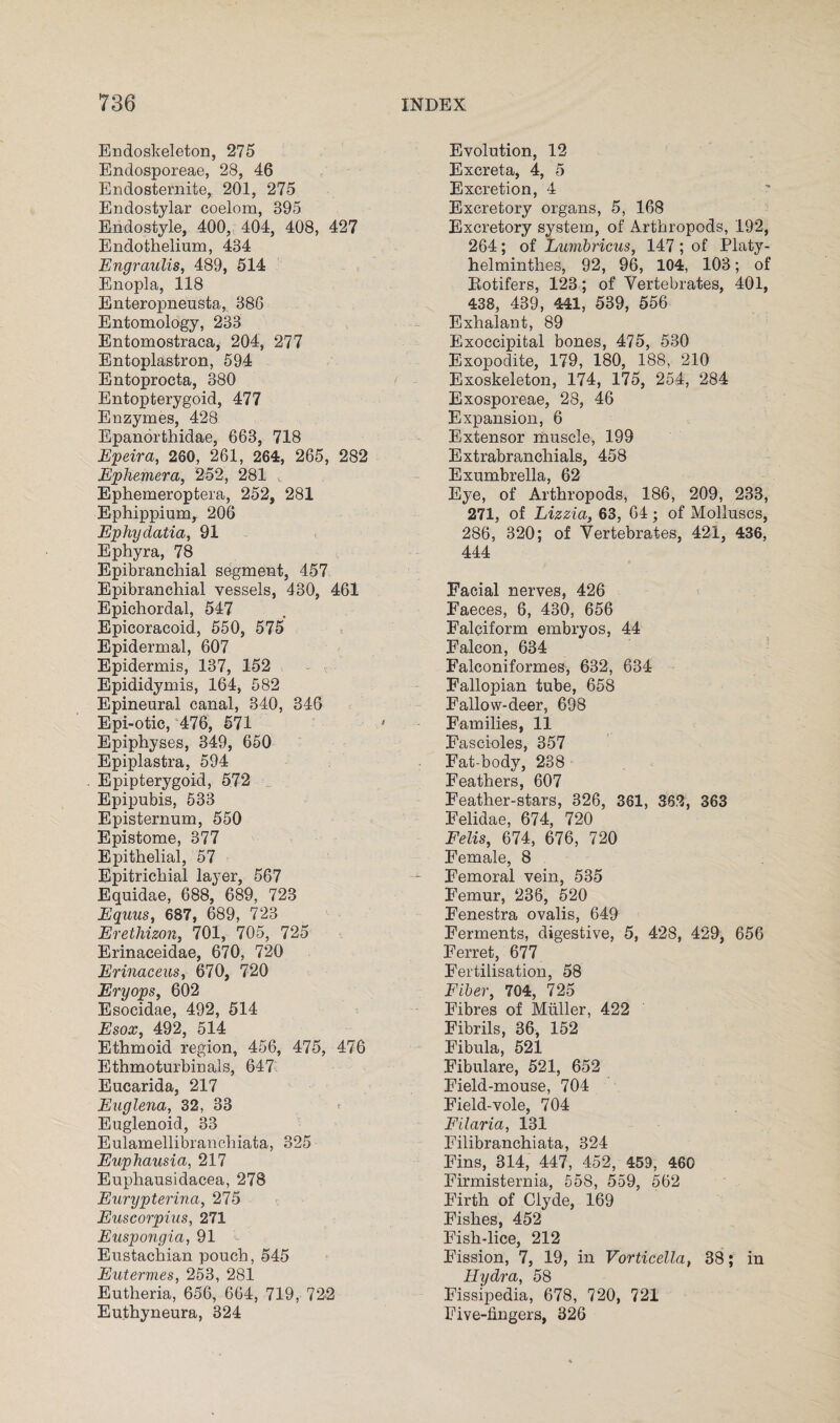 Endoskeleton, 275 Endosporeae, 28, 46 Endosternite, 201, 275 Endostylar coelom, 895 Endostyle, 400, 404, 408, 427 Endothelium, 434 Engraulis, 489, 514 Enopla, 118 Enteropneusta, 386 Entomology, 233 Entomostraca, 204, 277 Entoplastron, 594 Entoprocta, 380 Entopterygoid, 477 Enzymes, 428 Epanorthidae, 663, 718 Epeira, 260, 261, 264, 265, 282 Ephemera, 252, 281 , Ephemeroptera, 252, 281 Ephippium, 206 Ephydatia, 91 Ephyra, 78 Epibranchial segment, 457 Epibranchial vessels, 430, 461 Epichordal, 547 Epicoracoid, 550, 575 Epidermal, 607 Epidermis, 137, 152 Epididymis, 164, 582 Epineural canal, 340, 346 Epi-otic, 476, 571 Epiphyses, 349, 650 Epiplastra, 594 Epipterygoid, 572 Epipubis, 533 Episternum, 550 Epistome, 377 Epithelial, 57 Epitrichial layer, 567 Equidae, 688, 689, 723 Equus, 687, 689, 723 Erethizon, 701, 705, 725 Erinaceidae, 670, 720 Erinaceus, 670, 720 Eryops, 602 Esocidae, 492, 514 Esox, 492, 514 Ethmoid region, 456, 475, 476 Ethmoturbinals, 647 Eucarida, 217 Euglena, 32, 33 Euglenoid, 33 Eulamellibranchiata, 325 Euphausia, 217 Euphausidacea, 278 Eurypterina, 275 Euscorpius, 271 Euspongia, 91 Eustachian pouch, 545 Eutermes, 253, 281 Eutheria, 656, 664, 719, 722 Euthyneura, 324 Evolution, 12 Excreta, 4, 5 Excretion, 4 Excretory organs, 5, 168 Excretory system, of Arthropods, 192, 264; of Lurnbricus, 147 ; of Platy- helminthes, 92, 96, 104, 103; of Rotifers, 123; of Vertebrates, 401, 438, 439, 441, 539, 556 Exhalant, 89 Exoccipital bones, 475, 530 Exopodite, 179, 180, 188, 210 Exoskeleton, 174, 175, 254, 284 Exosporeae, 28, 46 Expansion, 6 Extensor muscle, 199 Extrabranchials, 458 Exumbrella, 62 Eye, of Arthropods, 186, 209, 233, 271, of Lizzia, 63, 64; of Molluscs, 286, 320; of Vertebrates, 421, 436, 444 Facial nerves, 426 Faeces, 6, 430, 656 Falciform embryos, 44 Falcon, 634 Falconiformes, 632, 634 Fallopian tube, 658 Fallow-deer, 698 Families, 11 Fascioles, 357 Fat-body, 238 Feathers, 607 Feather-stars, 326, 361, 362, 363 Felidae, 674, 720 Felis, 674, 676, 720 Female, 8 Femoral vein, 535 Femur, 236, 520 Fenestra ovalis, 649 Ferments, digestive, 5, 428, 429, 656 Ferret, 677 Fertilisation, 58 Fiber, 704, 725 Fibres of Muller, 422 Fibrils, 36, 152 Fibula, 521 Fibulare, 521, 652 Field-mouse, 704 Field-vole, 704 Filaria, 131 Eilibranchiata, 324 Fins, 314, 447, 452, 459, 460 Firmisternia, 558, 559, 562 Firth of Clyde, 169 Fishes, 452 Fish-lice, 212 Fission, 7, 19, in Vorticella, 38; in Hydra, 58 Fissipedia, 678, 720, 721 Five-fingers, 326