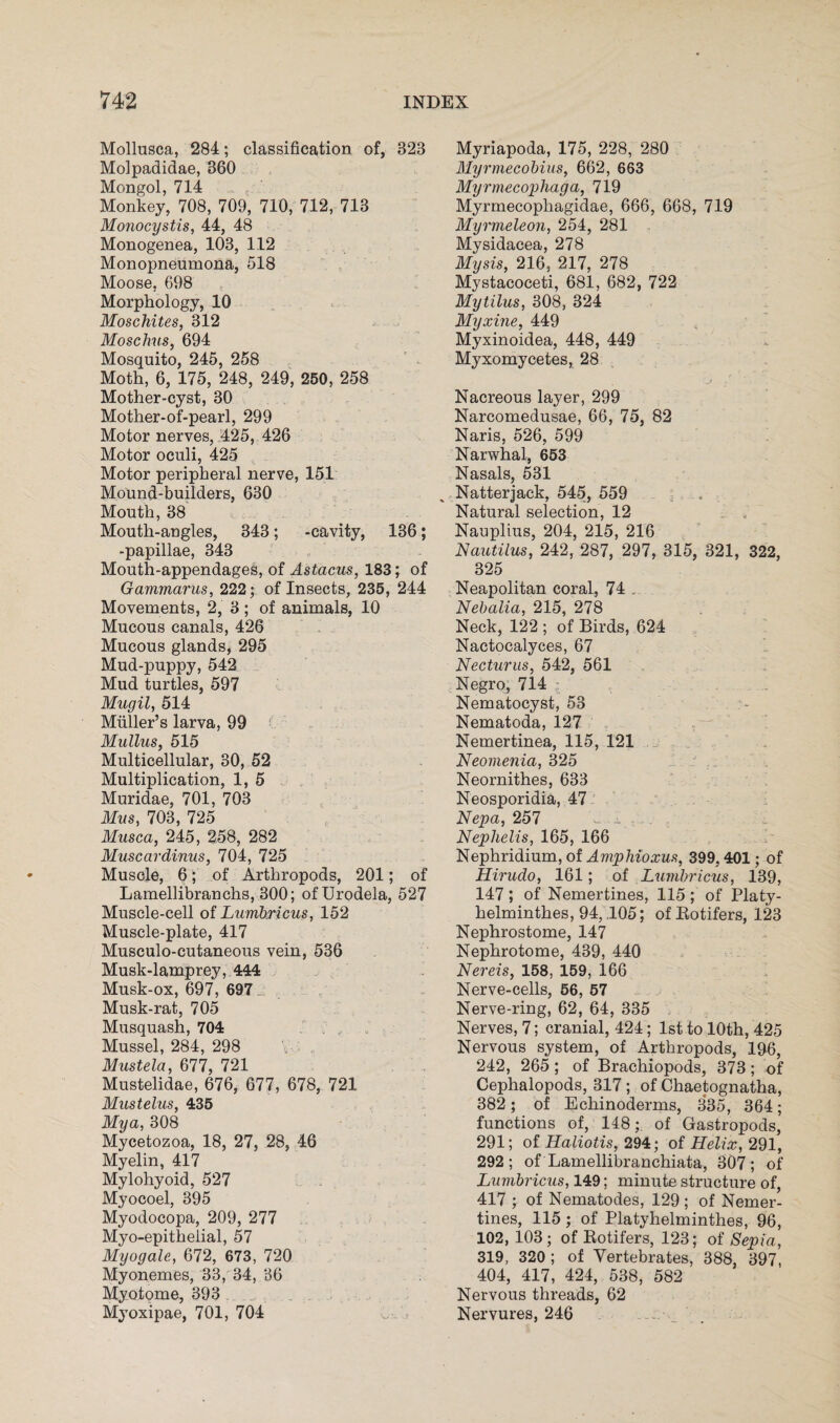 Mollusca, 284; classification of, 323 Molpadidae, 360 Mongol, 714 Monkey, 708, 709, 710, 712, 713 Monocystis, 44, 48 Monogenea, 103, 112 Monopneumona, 518 Moose, 698 Morphology, 10 Moschites, 312 Moschus, 694 Mosquito, 245, 258 Moth, 6, 175, 248, 249, 250, 258 Mother-cyst, 30 Mother-of-pearl, 299 Motor nerves, 425, 426 Motor oculi, 425 Motor peripheral nerve, 151 Mound-builders, 630 Mouth, 38 Mouth-angles, 343; -cavity, 136; -papillae, 343 Mouth-appendages, of Astacus, 183; of Gammarus, 222; of Insects, 235, 244 Movements, 2, 3 ; of animals, 10 Mucous canals, 426 Mucous glands, 295 Mud-puppy, 542 Mud turtles, 597 Mugil, 514 Muller’s larva, 99 Mullus, 515 Multicellular, 30, 52 Multiplication, 1, 5 Muridae, 701, 703 Mus, 703, 725 Musca, 245, 258, 282 Muscardinus, 704, 725 Muscle, 6; of Arthropods, 201; of Lamellibranchs, 300; ofUrodela, 527 Muscle-cell of Lumhricus, 152 Muscle-plate, 417 Musculo-cutaneous vein, 536 Musk-lamprey, 444 Musk-ox, 697, 697 Musk-rat, 705 Musquash, 704 Mussel, 284, 298 Mustela, 677, 721 Mustelidae, 676, 677, 678, 721 Mustelus, 435 Mya, 308 Mycetozoa, 18, 27, 28, 46 Myelin, 417 Mylohyoid, 527 Myocoel, 395 Myodocopa, 209, 277 Myo-epitheiial, 57 Myogale, 672, 673, 720 Myonemes, 33, 34, 36 Myotome, 393 . Myoxipae, 701, 704 Myriapoda, 175, 228, 280 Myrmecobius, 662, 663 Myrmecophaga, 719 Myrmecopliagidae, 666, 668, 719 Myrmeleon, 254, 281 Mysidacea, 278 Mysis, 216, 217, 278 Mystacoceti, 681, 682, 722 Mytilus, 308, 324 Myxine, 449 Myxinoidea, 448, 449 Myxomycetes, 28 Nacreous layer, 299 Narcomedusae, 66, 75, 82 Naris, 526, 599 Narwhal, 653 Nasals, 531 Natterjack, 545, 559 Natural selection, 12 Nauplius, 204, 215, 216 Nautilus, 242, 287, 297, 315, 321, 322, 325 Neapolitan coral, 74 . Nebalia, 215, 278 Neck, 122 ; of Birds, 624 Nactocalyces, 67 Necturus, 542, 561 Negro, 714 Nematocyst, 53 Nematoda, 127 Nemertinea, 115, 121 Neomenia, 325 Neornithes, 633 Neosporidia, 47 Nepa, 257 Neplielis, 165, 166 Nephridium, of Amphioxus, 399,401; of Hirudo, 161; of Lumhricus, 139, 147 ; of Nemertines, 115 ; of Platy- helminthes, 94, .105; of Botifers, 123 Nephrostome, 147 Nephrotome, 439, 440 Nereis, 158, 159, 166 Nerve-cells, 56, 57 Nerve-ring, 62, 64, 335 Nerves, 7; cranial, 424; 1st to 10th, 425 Nervous system, of Arthropods, 196, 242, 265 ; of Brachiopods, 373; of Cephalopods, 317 ; of Chaetognatha, 382; of Echinoderms, 335, 364; functions of, 148; of Gastropods, 291; of Haliotis, 294; of Helix, 291, 292; of Lamellibranchiata, 307; of Lumbricus, 149; minute structure of, 417 ; of Nematodes, 129 ; of Nemer¬ tines, 115 ; of Platyhelminthes, 96, 102, 103; of Botifers, 123; of Sepia, 319, 320 ; of Vertebrates, 388, 397, 404, 417, 424, 538, 582 Nervous threads, 62 Nervures, 246