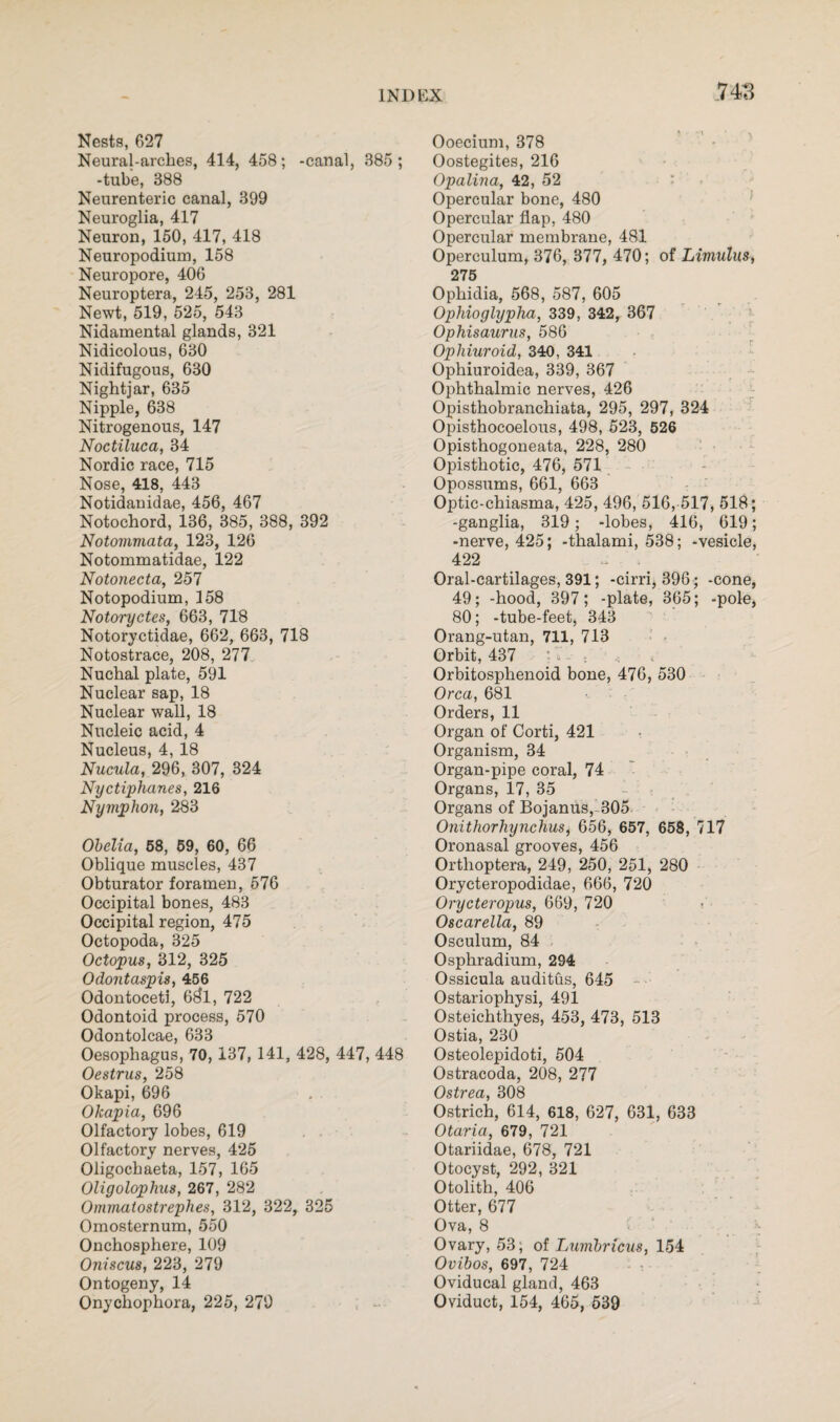 Nests, 627 Neural-arches, 414, 458; -canal, 385 ; -tube, 388 Neurenteric canal, 399 Neuroglia, 417 Neuron, 150, 417, 418 Neuropodium, 158 Neuropore, 406 Neuroptera, 245, 253, 281 Newt, 519, 525, 543 Nidamental glands, 321 Nidicolous, 630 Nidifugous, 630 Nightjar, 635 Nipple, 638 Nitrogenous, 147 Noctiluca, 34 Nordic race, 715 Nose, 418, 443 Notidanidae, 456, 467 Notochord, 136, 385, 388, 392 Notommata, 123, 126 Notommatidae, 122 Notonecta, 257 Notopodium, 158 Notoryctes, 663, 718 Notoryctidae, 662, 663, 718 Notostrace, 208, 277 Nuchal plate, 591 Nuclear sap, 18 Nuclear wall, 18 Nucleic acid, 4 Nucleus, 4, 18 Nucula, 296, 307, 324 Nyctiphanes, 216 Nymphon, 283 Obelia, 58, 59, 60, 66 Oblique muscles, 437 Obturator foramen, 576 Occipital bones, 483 Occipital region, 475 Octopoda, 325 Octopus, 312, 325 Odontaspis, 456 Odontoceti, 6$1, 722 Odontoid process, 570 Odontolcae, 633 Oesophagus, 70, 137, 141, 428, 447, 448 Oestrus, 258 Okapi, 696 Okapia, 696 Olfactory lobes, 619 Olfactory nerves, 425 Oligochaeta, 157, 165 Oligolophus, 267, 282 Ommatostrephes, 312, 322, 325 Omosternum, 550 Onchosphere, 109 Oniscus, 223, 279 Ontogeny, 14 Onychophora, 225, 279 Ooecium, 378 Oostegites, 216 Opalina, 42, 52 Opercular bone, 480 Opercular flap, 480 Opercular membrane, 481 Operculum, 376, 377, 470; of Limulus, 275 Ophidia, 568, 587, 605 Ophioglypha, 339, 342, 367 Ophisaurus, 586 Ophiuroid, 340, 341 Ophiuroidea, 339, 367 Ophthalmic nerves, 426 Opisthobranchiata, 295, 297, 324 Opisthocoelous, 498, 523, 526 Opisthogoneata, 228, 280 Opisthotic, 476, 571 Opossums, 661, 663 Optic-chiasma, 425, 496, 516, 517, 518; -ganglia, 319; -lobes, 416, 619; -nerve, 425; -thalami, 538; -vesicle, 422 - . Oral-cartilages, 391; -cirri, 396 ; -cone, 49; -hood, 397; -plate, 365; -pole, 80; -tube-feet, 343 Orang-utan, 711, 713 Orbit, 437 ' V • . .« Orbitosphenoid bone, 476, 530 Orca, 681 Orders, 11 Organ of Corti, 421 Organism, 34 Organ-pipe coral, 74 Organs, 17, 35 Organs of Bojanus,-305 Onithorhynchus, 656, 657, 658, 717 Oronasal grooves, 456 Orthoptera, 249, 250, 251, 280 Orycteropodidae, 666, 720 Orycteropus, 669, 720 r Oscarella, 89 Osculum, 84 Osphradium, 294 Ossicula auditus, 645 Ostariophysi, 491 Osteichthyes, 453, 473, 513 Ostia, 230 Osteolepidoti, 504 Ostracoda, 208, 277 Ostrea, 308 Ostrich, 614, 618, 627, 631, 633 Otaria, 679, 721 Otariidae, 678, 721 Otocyst, 292, 321 Otolith, 406 Otter, 677 Ova, 8 Ovary, 53; of Lurnbricus, 154 Ovibos, 697, 724 Oviducal gland, 463 Oviduct, 154, 465, 539