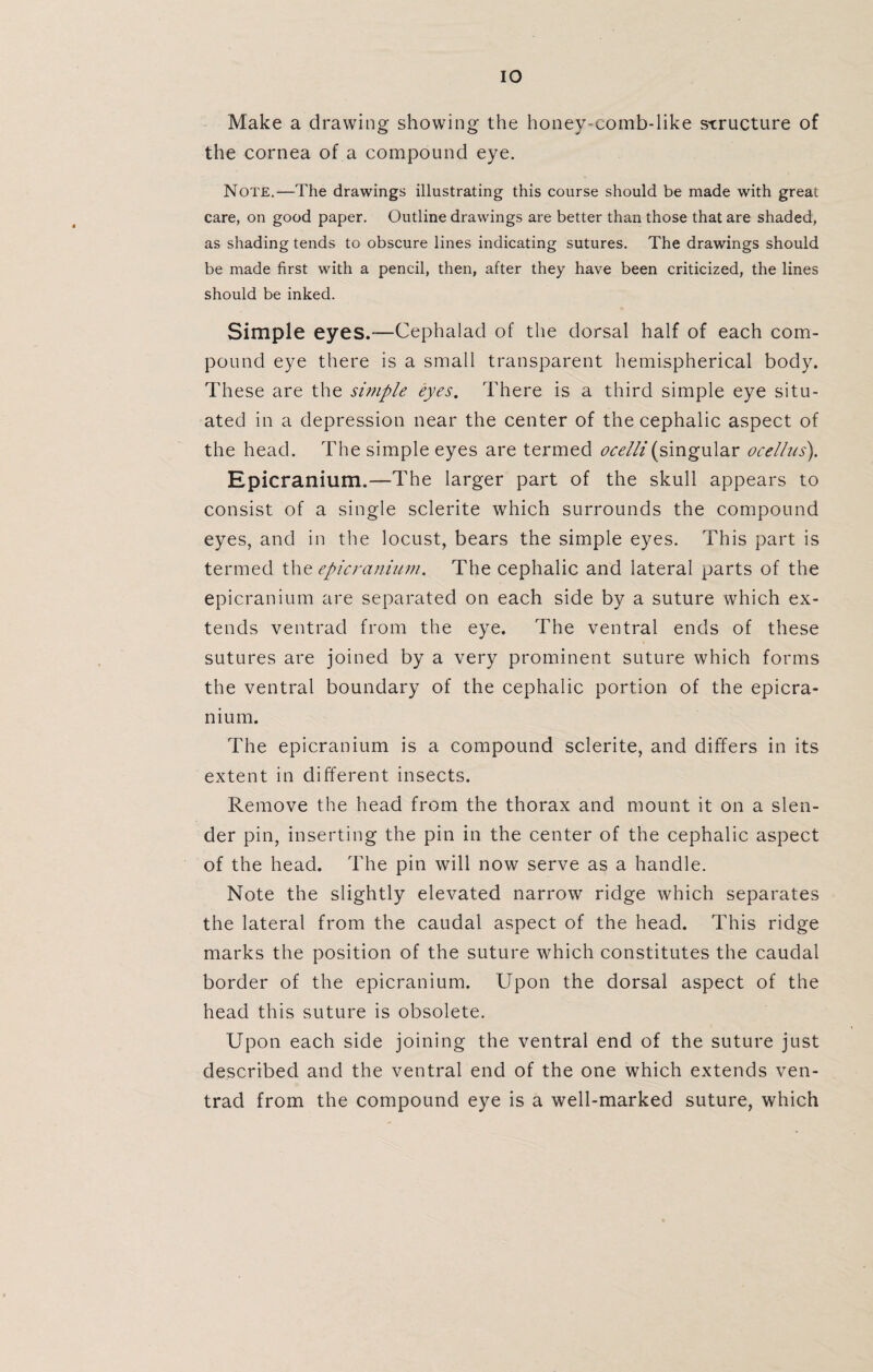 Make a drawing showing the honey-comb-like structure of the cornea of a compound eye. Note.—The drawings illustrating this course should be made with great care, on good paper. Outline drawings are better than those that are shaded, as shading tends to obscure lines indicating sutures. The drawings should be made first with a pencil, then, after they have been criticized, the lines should be inked. Simple eyes.—Cephalad of the dorsal half of each com¬ pound eye there is a small transparent hemispherical body. These are the simple eyes. There is a third simple eye situ¬ ated in a depression near the center of the cephalic aspect of the head. The simple eyes are termed <?<:<?///(singular ocellus). Epicranium.—The larger part of the skull appears to consist of a single sclerite which surrounds the compound eyes, and in the locust, bears the simple eyes. This part is termed the epicranium. The cephalic and lateral parts of the epicranium are separated on each side by a suture which ex¬ tends ventrad from the eye. The ventral ends of these sutures are joined by a very prominent suture which forms the ventral boundary of the cephalic portion of the epicra¬ nium. The epicranium is a compound sclerite, and differs in its extent in different insects. Remove the head from the thorax and mount it on a slen¬ der pin, inserting the pin in the center of the cephalic aspect of the head. The pin will now serve as a handle. Note the slightly elevated narrow ridge which separates the lateral from the caudal aspect of the head. This ridge marks the position of the suture which constitutes the caudal border of the epicranium. Upon the dorsal aspect of the head this suture is obsolete. Upon each side joining the ventral end of the suture just described and the ventral end of the one which extends ven¬ trad from the compound eye is a well-marked suture, which