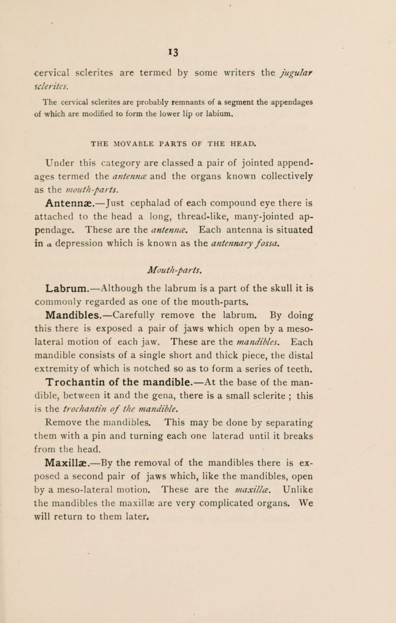 cervical sclerites are termed by some writers the jugular scleritcs. The cervical sclerites are probably remnants of a segment the appendages of which are modified to form the lower lip or labium. THE MOVABLE PARTS OF THE HEAD. Under this category are classed a pair of jointed append¬ ages termed the antenna and the organs known collectively as the mouth-parts. Antennae.—Just cephalad of each compound eye there is attached to the head a long, thread-like, many-jointed ap¬ pendage. These are the antenna. Each antenna is situated in a depression which is known as the antennary fossa. Mouth-parts. Labrum.—Although the labrum is a part of the skull it is commonly regarded as one of the mouth-parts. Mandibles.—Carefully remove the labrum. By doing this there is exposed a pair of jaws which open by a meso- lateral motion of each jaw. These are the mandibles. Each mandible consists of a single short and thick piece, the distal extremity of which is notched so as to form a series of teeth. Trochantin of the mandible.—At the base of the man¬ dible, between it and the gena, there is a small sclerite ; this is the trochantin of the mandible. Remove the mandibles. This may be done by separating them with a pin and turning each one laterad until it breaks from the head. Maxillae.—By the removal of the mandibles there is ex¬ posed a second pair of jaws which, like the mandibles, open by a meso-lateral motion. These are the ?naxilla. Unlike the mandibles the maxillae are very complicated organs. We will return to them later.