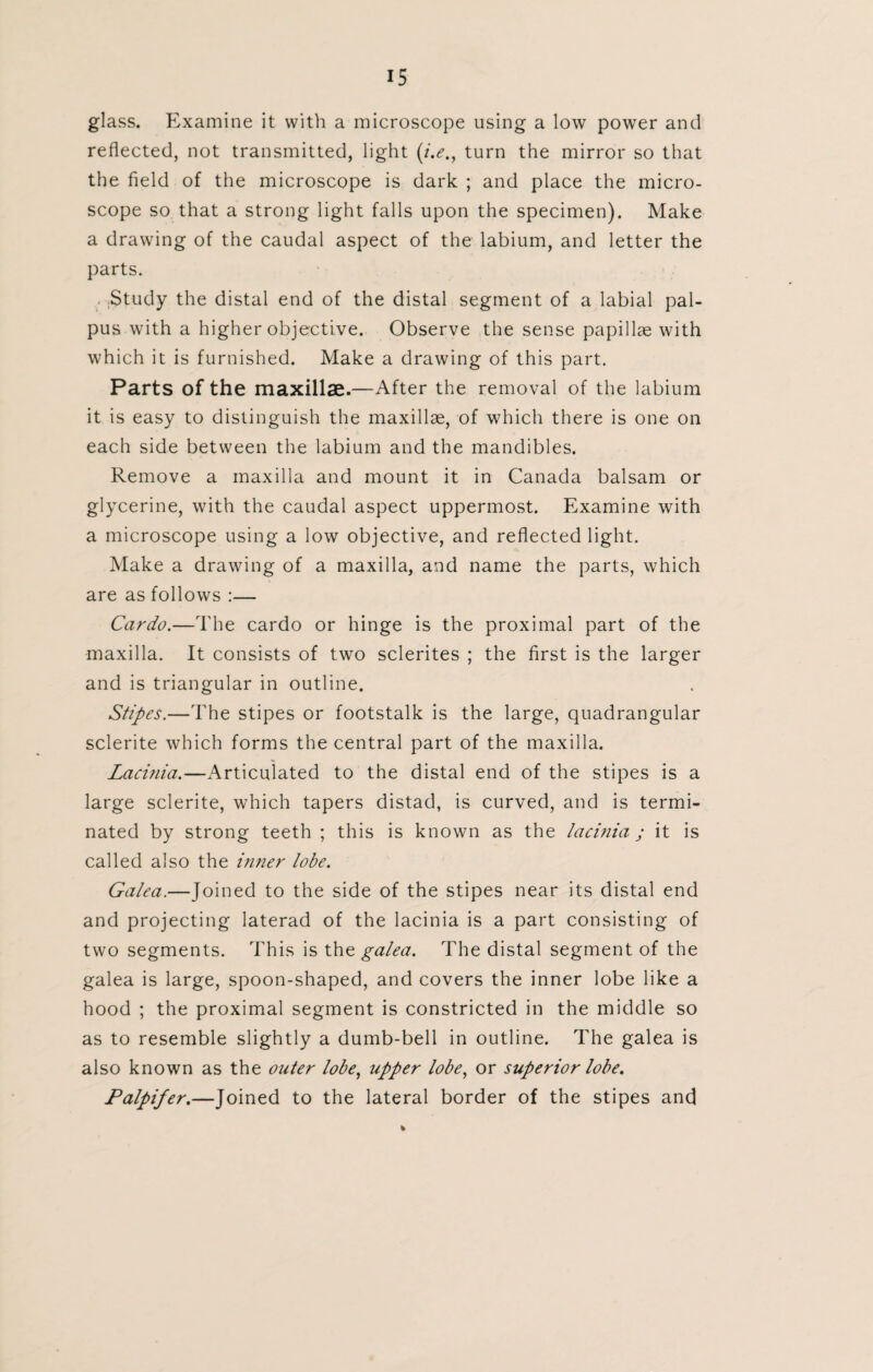 glass. Examine it with a microscope using a low power and reflected, not transmitted, light (/>., turn the mirror so that the field of the microscope is dark ; and place the micro¬ scope so that a strong light falls upon the specimen). Make a drawing of the caudal aspect of the labium, and letter the parts. Study the distal end of the distal segment of a labial pal¬ pus with a higher objective. Observe the sense papillae with which it is furnished. Make a drawing of this part. Parts of the maxillae.—After the removal of the labium it is easy to distinguish the maxillae, of which there is one on each side between the labium and the mandibles. Remove a maxilla and mount it in Canada balsam or glycerine, with the caudal aspect uppermost. Examine with a microscope using a low objective, and reflected light. Make a drawing of a maxilla, and name the parts, which are as follows :— Cardo.—The cardo or hinge is the proximal part of the maxilla. It consists of two sclerites ; the first is the larger and is triangular in outline. Stipes.—The stipes or footstalk is the large, quadrangular sclerite which forms the central part of the maxilla. Lacinia.—Articulated to the distal end of the stipes is a large sclerite, which tapers distad, is curved, and is termi¬ nated by strong teeth ; this is known as the lacinia; it is called also the inner lobe. Galea.—Joined to the side of the stipes near its distal end and projecting laterad of the lacinia is a part consisting of two segments. This is the galea. The distal segment of the galea is large, spoon-shaped, and covers the inner lobe like a hood ; the proximal segment is constricted in the middle so as to resemble slightly a dumb-bell in outline. The galea is also known as the outer lobe, upper lobe, or superior lobe. Palpifer.—Joined to the lateral border of the stipes and