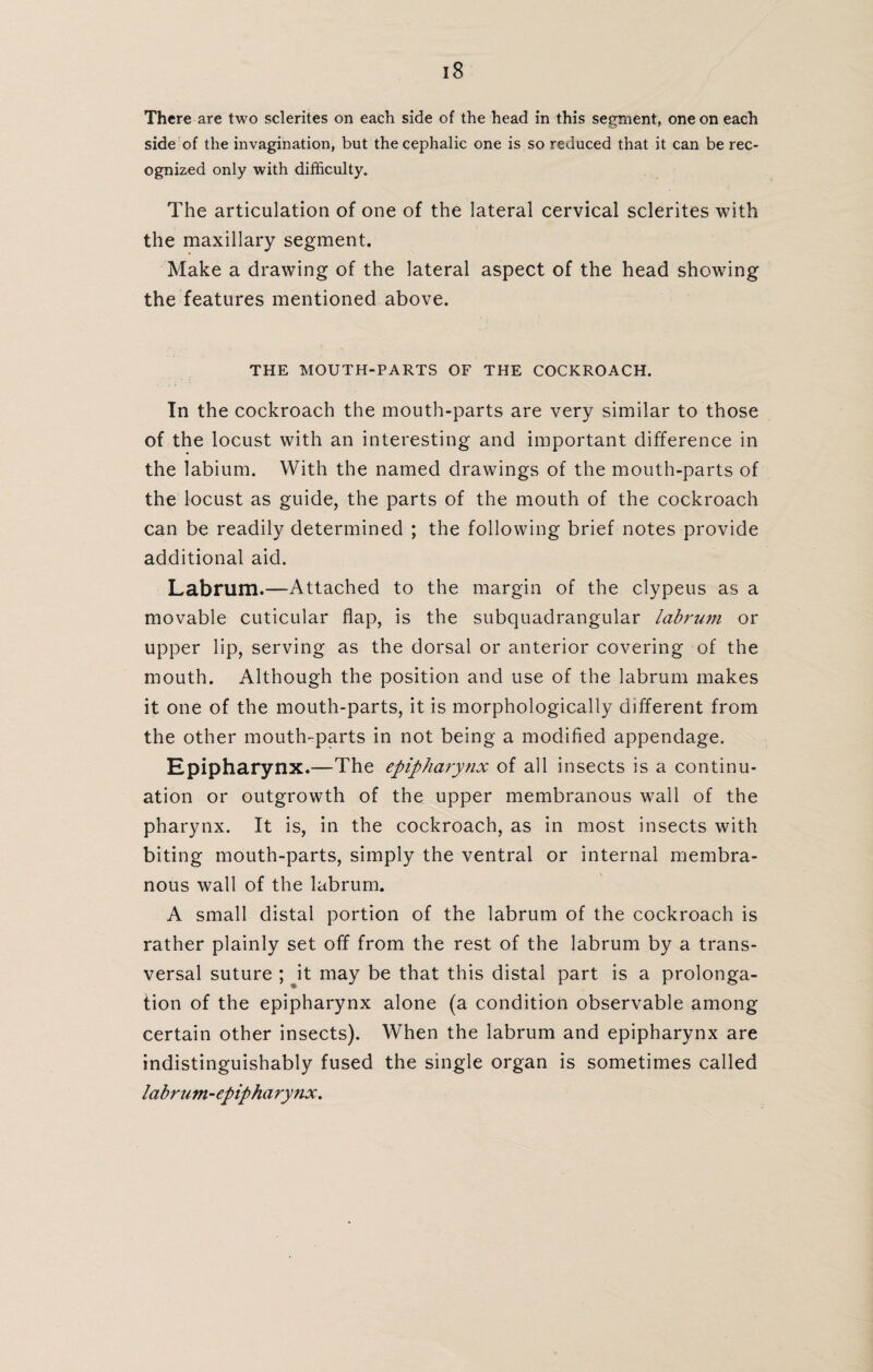 There are two sclerites on each side of the head in this segment, one on each side of the invagination, but the cephalic one is so reduced that it can be rec¬ ognized only with difficulty. The articulation of one of the lateral cervical sclerites with the maxillary segment. Make a drawing of the lateral aspect of the head showing the features mentioned above. THE MOUTH-PARTS OF THE COCKROACH. In the cockroach the mouth-parts are very similar to those of the locust with an interesting and important difference in the labium. With the named drawings of the mouth-parts of the locust as guide, the parts of the mouth of the cockroach can be readily determined ; the following brief notes provide additional aid. Labrum.—Attached to the margin of the clypeus as a movable cuticular flap, is the subquadrangular labrum or upper lip, serving as the dorsal or anterior covering of the mouth. Although the position and use of the labrum makes it one of the mouth-parts, it is morphologically different from the other mouth-parts in not being a modified appendage. Epipharynx.—The epipharynx of all insects is a continu¬ ation or outgrowth of the upper membranous wall of the pharynx. It is, in the cockroach, as in most insects with biting mouth-parts, simply the ventral or internal membra¬ nous wall of the labrum. A small distal portion of the labrum of the cockroach is rather plainly set off from the rest of the labrum by a trans¬ versal suture ; it may be that this distal part is a prolonga¬ tion of the epipharynx alone (a condition observable among certain other insects). When the labrum and epipharynx are indistinguishably fused the single organ is sometimes called labrum-epipharynx.