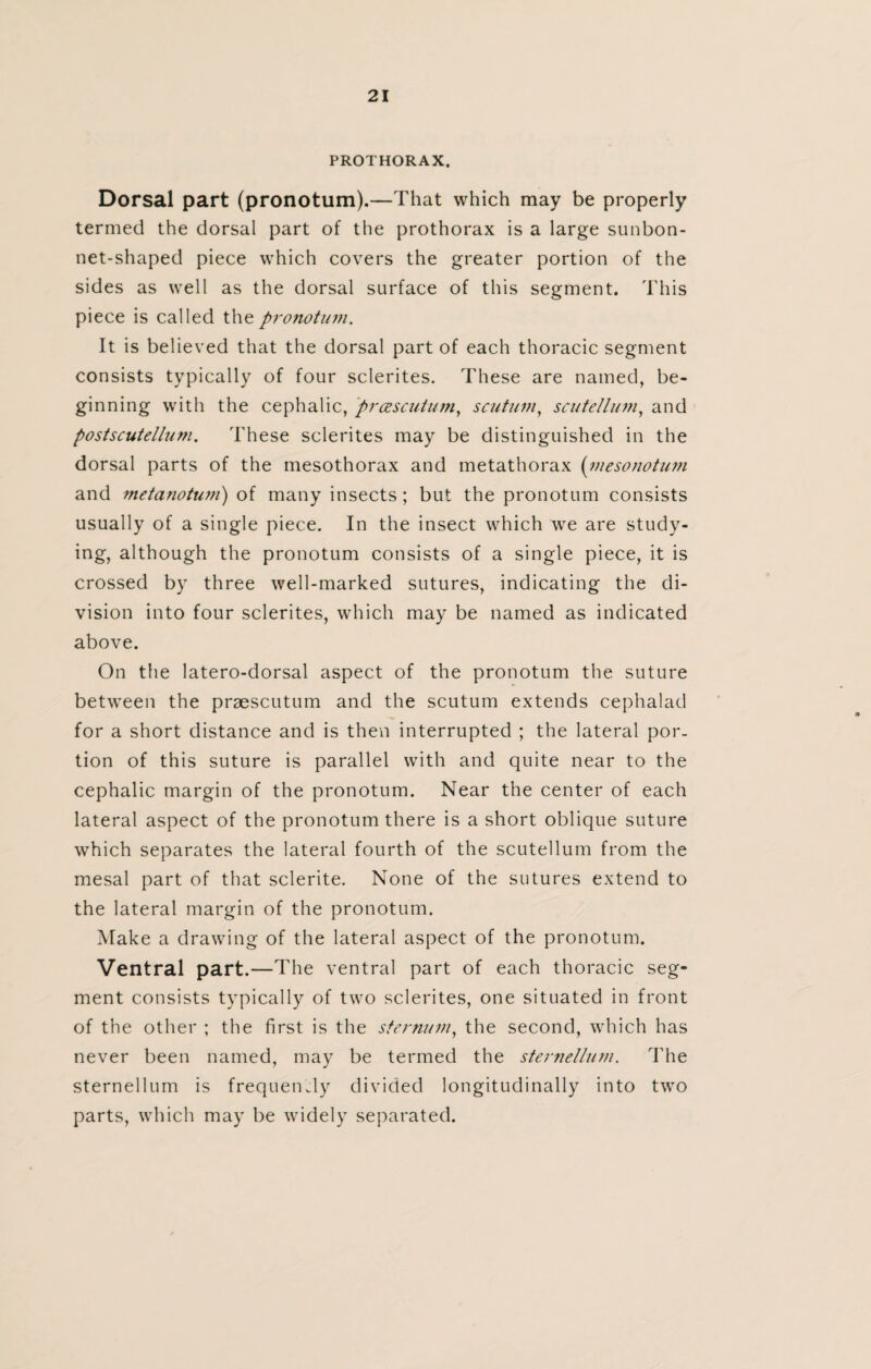 PROTHORAX. Dorsal part (pronotum).—That which may be properly termed the dorsal part of the prothorax is a large sunbon- net-shaped piece which covers the greater portion of the sides as well as the dorsal surface of this segment. This piece is called the pronotum. It is believed that the dorsal part of each thoracic segment consists typically of four sclerites. These are named, be¬ ginning with the cephalic, prcescutum, scutum, scutellum, and postscutellum. These sclerites may be distinguished in the dorsal parts of the mesothorax and metathorax (mesonotum and metanotum) of many insects; but the pronotum consists usually of a single piece. In the insect which we are study¬ ing, although the pronotum consists of a single piece, it is crossed by three well-marked sutures, indicating the di¬ vision into four sclerites, which may be named as indicated above. On the latero-dorsal aspect of the pronotum the suture between the praescutum and the scutum extends cephalad for a short distance and is then interrupted ; the lateral por¬ tion of this suture is parallel with and quite near to the cephalic margin of the pronotum. Near the center of each lateral aspect of the pronotum there is a short oblique suture which separates the lateral fourth of the scutellum from the mesal part of that sclerite. None of the sutures extend to the lateral margin of the pronotum. Make a drawing of the lateral aspect of the pronotum. Ventral part.—The ventral part of each thoracic seg¬ ment consists typically of two sclerites, one situated in front of the other ; the first is the sternum, the second, which has never been named, may be termed the sternellum. The sternellum is frequently divided longitudinally into two parts, which may be widely separated.