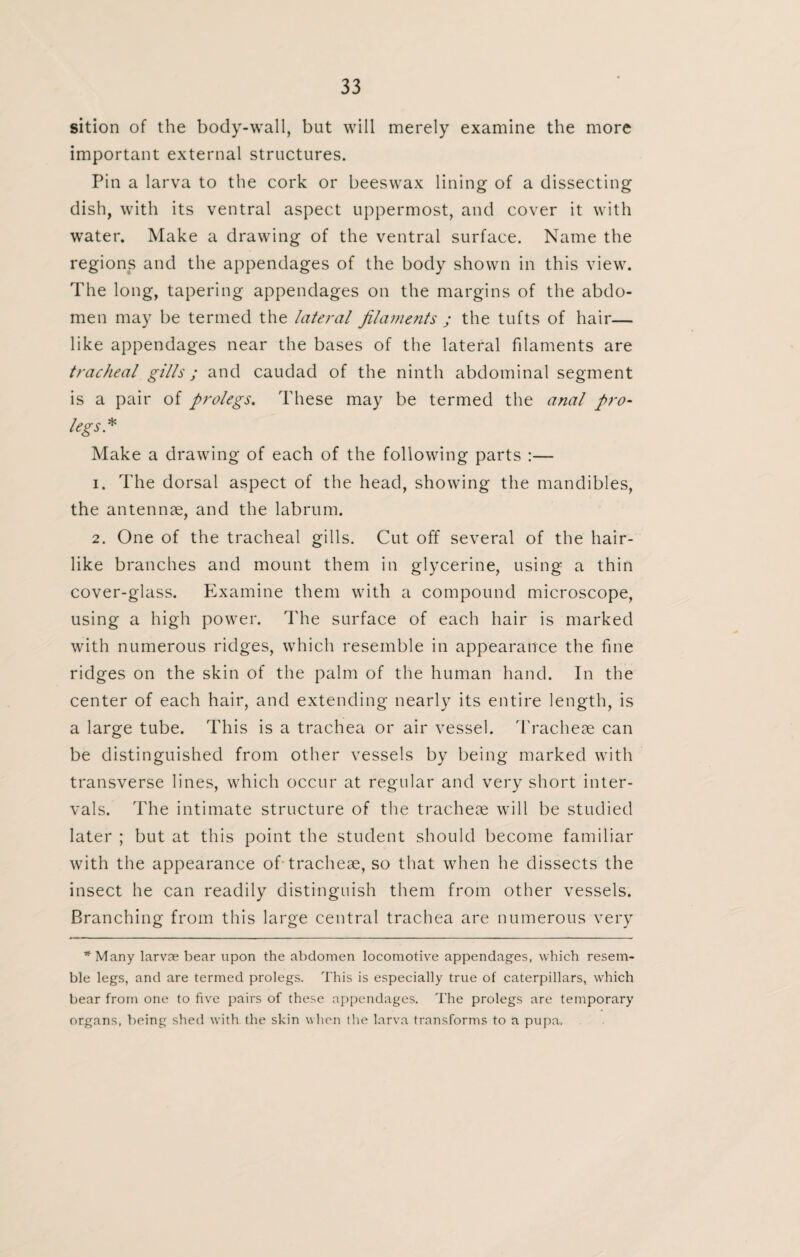 sition of the body-wall, but will merely examine the more important external structures. Pin a larva to the cork or beeswax lining of a dissecting dish, with its ventral aspect uppermost, and cover it with water. Make a drawing of the ventral surface. Name the regions and the appendages of the body shown in this view. The long, tapering appendages on the margins of the abdo¬ men may be termed the lateral filaments ; the tufts of hair— like appendages near the bases of the lateral filaments are tracheal gills; and caudad of the ninth abdominal segment is a pair of prolegs. These may be termed the anal pro¬ legs* Make a drawing of each of the following parts :— 1. The dorsal aspect of the head, showing the mandibles, the antennae, and the labrum. 2. One of the tracheal gills. Cut off several of the hair¬ like branches and mount them in glycerine, using a thin cover-glass. Examine them with a compound microscope, using a high power. The surface of each hair is marked with numerous ridges, which resemble in appearance the fine ridges on the skin of the palm of the human hand. In the center of each hair, and extending nearly its entire length, is a large tube. This is a trachea or air vessel. Tracheae can be distinguished from other vessels by being marked with transverse lines, which occur at regular and very short inter¬ vals. The intimate structure of the tracheae will be studied later ; but at this point the student should become familiar with the appearance of tracheae, so that when he dissects the insect he can readily distinguish them from other vessels. Branching from this large central trachea are numerous very *Many larvae bear upon the abdomen locomotive appendages, which resem¬ ble legs, and are termed prolegs. This is especially true of caterpillars, which bear from one to five pairs of these appendages. The prolegs are temporary organs, being shed with the skin when the larva transforms to a pupa.