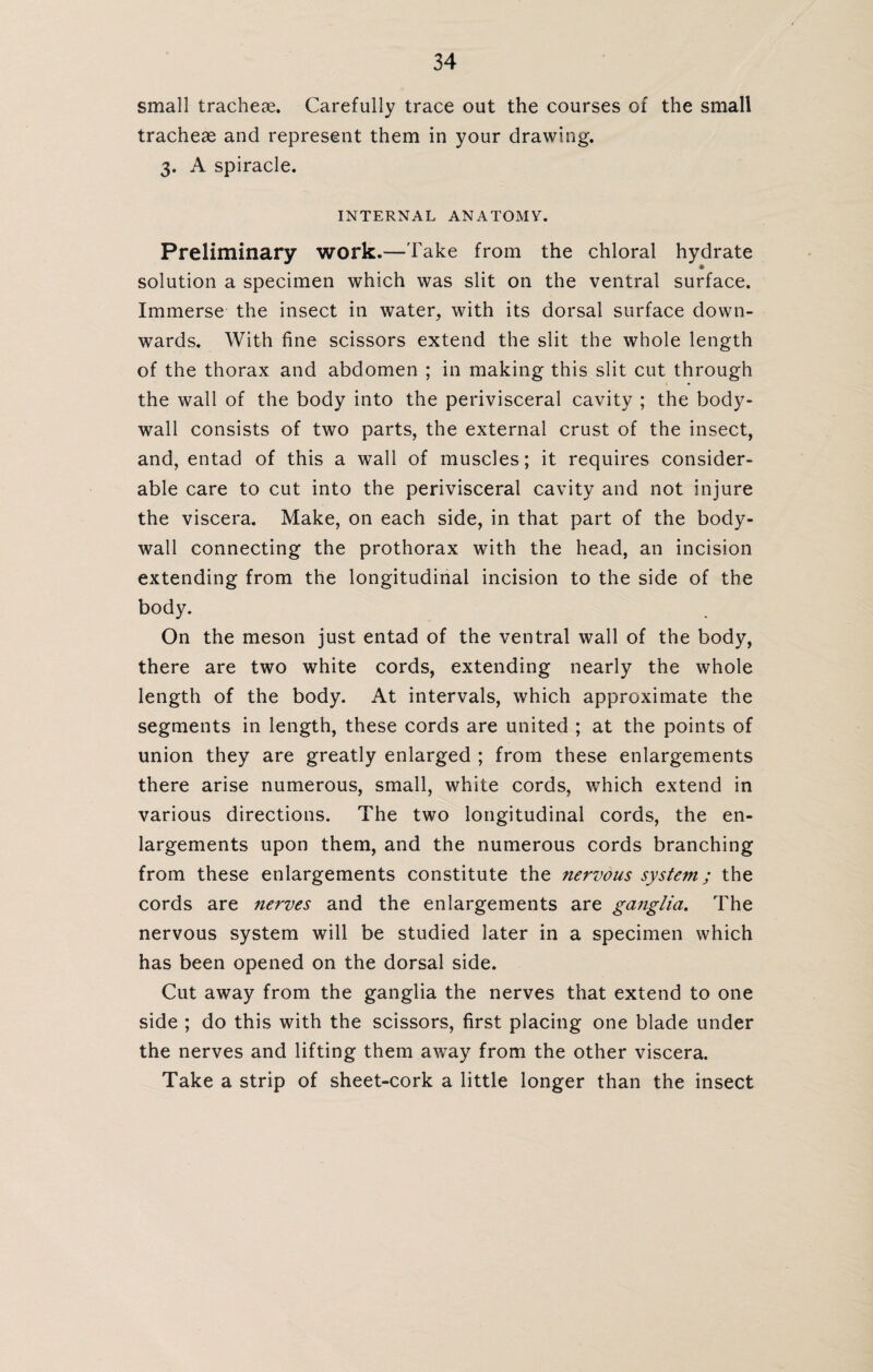 small tracheae. Carefully trace out the courses of the small tracheae and represent them in your drawing. 3. A spiracle. INTERNAL ANATOMY. Preliminary work.—Take from the chloral hydrate solution a specimen which was slit on the ventral surface. Immerse the insect in water, with its dorsal surface down¬ wards. With fine scissors extend the slit the whole length of the thorax and abdomen ; in making this slit cut through the wall of the body into the perivisceral cavity ; the body- wall consists of two parts, the external crust of the insect, and, entad of this a wall of muscles; it requires consider¬ able care to cut into the perivisceral cavity and not injure the viscera. Make, on each side, in that part of the body- wall connecting the prothorax with the head, an incision extending from the longitudinal incision to the side of the body. On the meson just entad of the ventral wall of the body, there are two white cords, extending nearly the whole length of the body. At intervals, which approximate the segments in length, these cords are united ; at the points of union they are greatly enlarged ; from these enlargements there arise numerous, small, white cords, which extend in various directions. The two longitudinal cords, the en¬ largements upon them, and the numerous cords branching from these enlargements constitute the nervous system; the cords are nerves and the enlargements are ganglia. The nervous system will be studied later in a specimen which has been opened on the dorsal side. Cut away from the ganglia the nerves that extend to one side ; do this with the scissors, first placing one blade under the nerves and lifting them away from the other viscera. Take a strip of sheet-cork a little longer than the insect