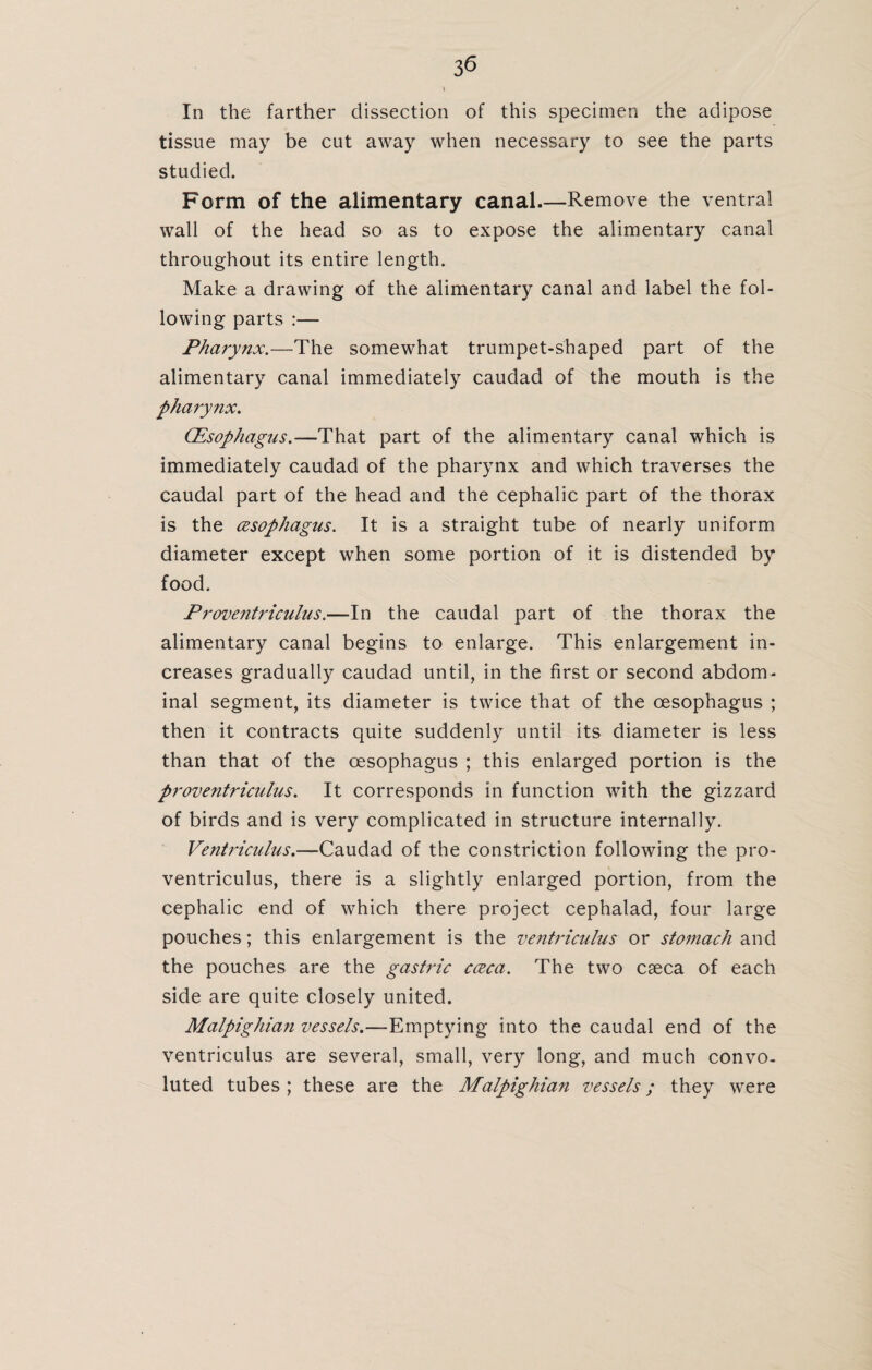In the farther dissection of this specimen the adipose tissue may be cut away when necessary to see the parts studied. Form of the alimentary canal.—Remove the ventral wall of the head so as to expose the alimentary canal throughout its entire length. Make a drawing of the alimentary canal and label the fol¬ lowing parts :— Pharynx.—The somewhat trumpet-shaped part of the alimentary canal immediately caudad of the mouth is the pharynx. CEsophagus.—That part of the alimentary canal which is immediately caudad of the pharynx and which traverses the caudal part of the head and the cephalic part of the thorax is the (Esophagus. It is a straight tube of nearly uniform diameter except when some portion of it is distended by food. Proventriculus.—In the caudal part of the thorax the alimentary canal begins to enlarge. This enlargement in¬ creases gradually caudad until, in the first or second abdom¬ inal segment, its diameter is twice that of the oesophagus ; then it contracts quite suddenly until its diameter is less than that of the oesophagus ; this enlarged portion is the proventriculus. It corresponds in function with the gizzard of birds and is very complicated in structure internally. Ventriculus.—Caudad of the constriction following the pro¬ ventriculus, there is a slightly enlarged portion, from the cephalic end of which there project cephalad, four large pouches; this enlargement is the ventriculus or stomach and the pouches are the gastric cceca. The two caeca of each side are quite closely united. Malpighian vessels.—Emptying into the caudal end of the ventriculus are several, small, very long, and much convo¬ luted tubes ; these are the Malpighian vessels; they were