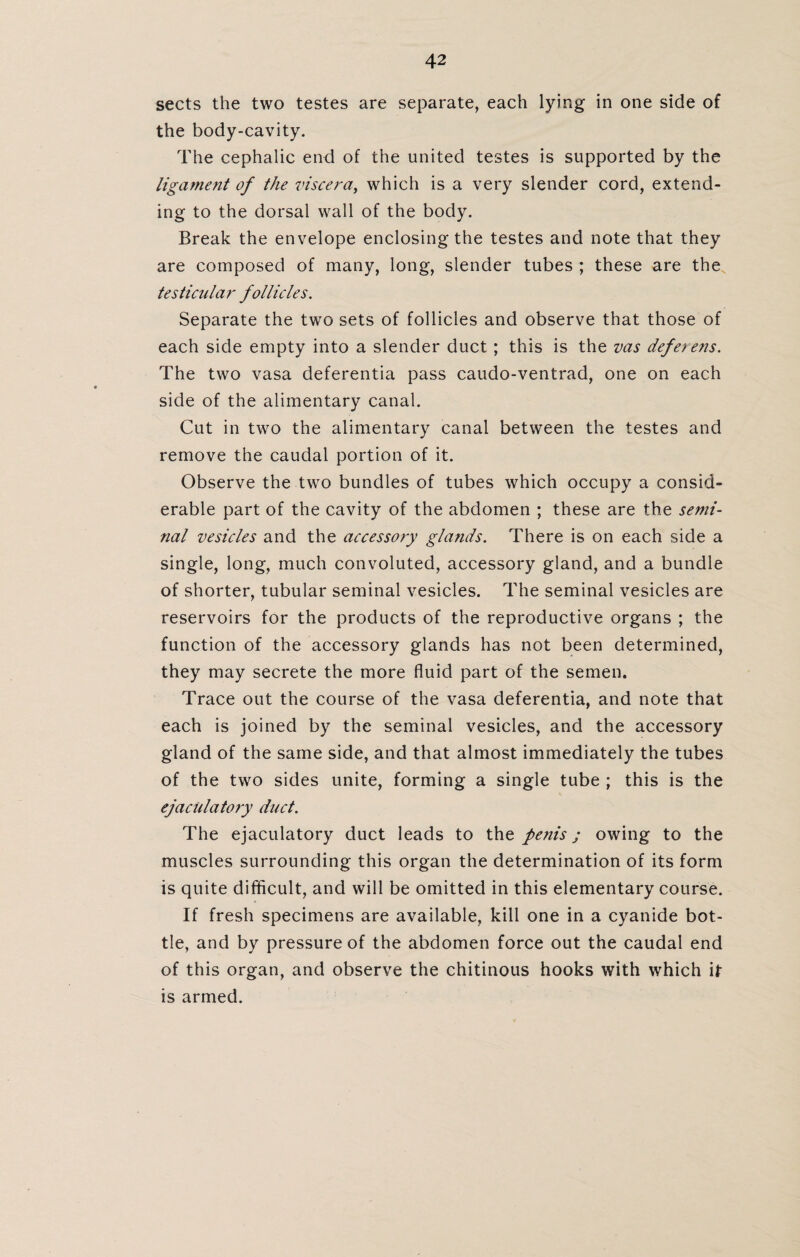 sects the two testes are separate, each lying in one side of the body-cavity. The cephalic end of the united testes is supported by the ligament of the viscera, which is a very slender cord, extend¬ ing to the dorsal wall of the body. Break the envelope enclosing the testes and note that they are composed of many, long, slender tubes ; these are the testicular follicles. Separate the two sets of follicles and observe that those of each side empty into a slender duct ; this is the vas deferens. The two vasa deferentia pass caudo-ventrad, one on each side of the alimentary canal. Cut in two the alimentary canal between the testes and remove the caudal portion of it. Observe the two bundles of tubes which occupy a consid¬ erable part of the cavity of the abdomen ; these are the semi¬ nal vesicles and the accessory glands. There is on each side a single, long, much convoluted, accessory gland, and a bundle of shorter, tubular seminal vesicles. The seminal vesicles are reservoirs for the products of the reproductive organs ; the function of the accessory glands has not been determined, they may secrete the more fluid part of the semen. Trace out the course of the vasa deferentia, and note that each is joined by the seminal vesicles, and the accessory gland of the same side, and that almost immediately the tubes of the two sides unite, forming a single tube ; this is the ejaculatory duct. The ejaculatory duct leads to the penis; owing to the muscles surrounding this organ the determination of its form is quite difficult, and will be omitted in this elementary course. If fresh specimens are available, kill one in a cyanide bot¬ tle, and by pressure of the abdomen force out the caudal end of this organ, and observe the chitinous hooks with which if is armed.