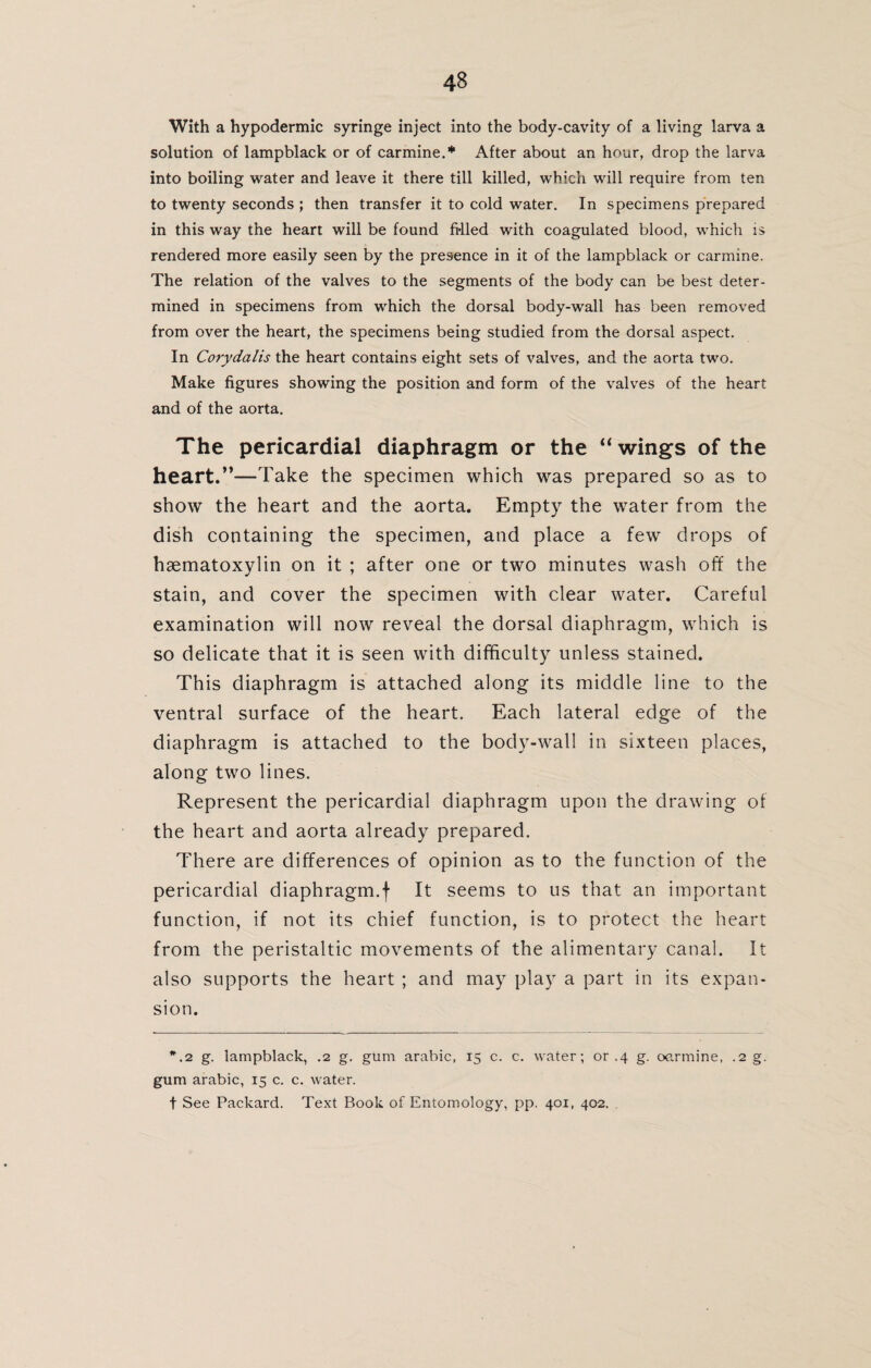 With a hypodermic syringe inject into the body-cavity of a living larva a solution of lampblack or of carmine.* After about an hour, drop the larva into boiling water and leave it there till killed, which will require from ten to twenty seconds ; then transfer it to cold water. In specimens prepared in this way the heart will be found filled with coagulated blood, which is rendered more easily seen by the presence in it of the lampblack or carmine. The relation of the valves to the segments of the body can be best deter¬ mined in specimens from which the dorsal body-wall has been removed from over the heart, the specimens being studied from the dorsal aspect. In Corydalis the heart contains eight sets of valves, and the aorta two. Make figures showing the position and form of the valves of the heart and of the aorta. The pericardial diaphragm or the “wings of the heart.”—Take the specimen which was prepared so as to show the heart and the aorta. Empty the water from the dish containing the specimen, and place a few drops of hsematoxylin on it ; after one or two minutes wash off the stain, and cover the specimen with clear water. Careful examination will now reveal the dorsal diaphragm, which is so delicate that it is seen with difficulty unless stained. This diaphragm is attached along its middle line to the ventral surface of the heart. Each lateral edge of the diaphragm is attached to the body-wall in sixteen places, along two lines. Represent the pericardial diaphragm upon the drawing of the heart and aorta already prepared. There are differences of opinion as to the function of the pericardial diaphragm.f It seems to us that an important function, if not its chief function, is to protect the heart from the peristaltic movements of the alimentary canal. It also supports the heart ; and may play a part in its expan¬ sion. *.2 g. lampblack, .2 g. gum arabic, 15 c. c. water; or .4 g. octrmine, .2 g. gum arabic, 15 c. c. water. t See Packard. Text Book of Entomology, pp. 401, 402.