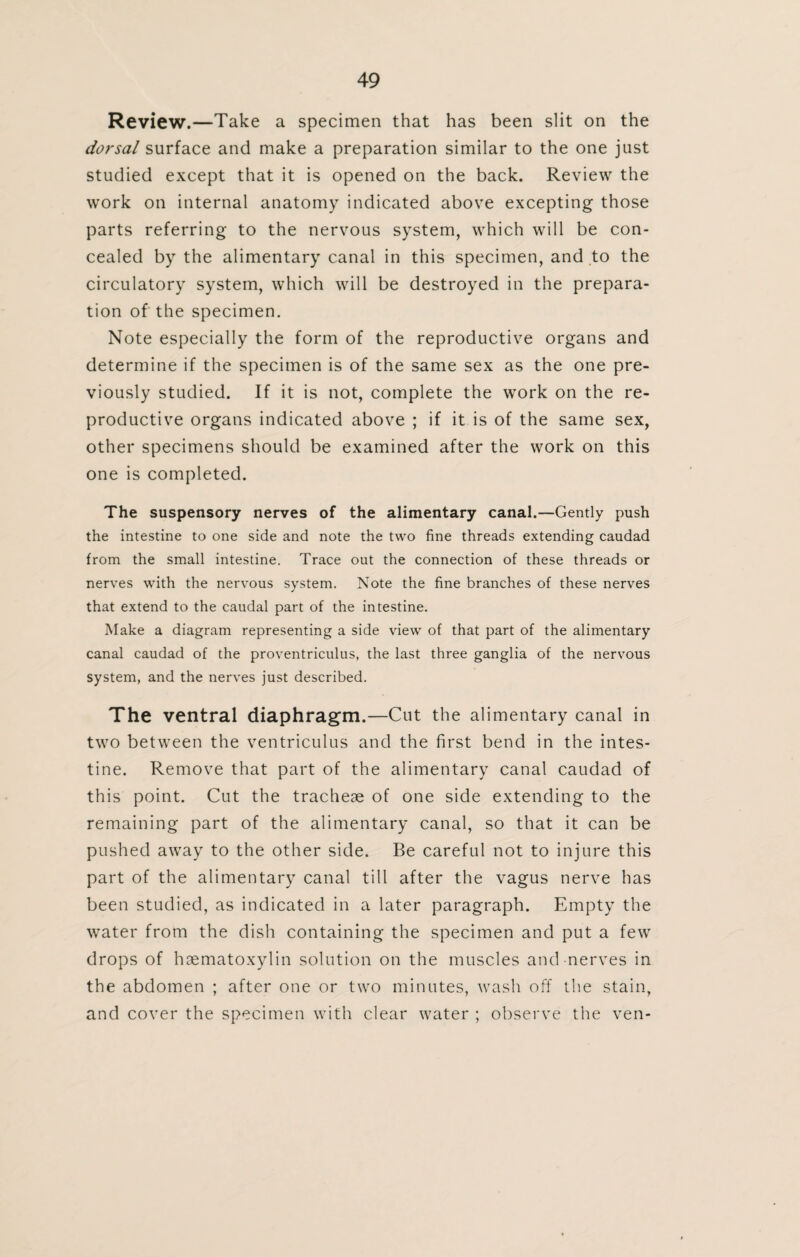 Review.—Take a specimen that has been slit on the dorsal surface and make a preparation similar to the one just studied except that it is opened on the back. Review the work on internal anatomy indicated above excepting those parts referring to the nervous system, which will be con¬ cealed by the alimentary canal in this specimen, and to the circulatory system, which will be destroyed in the prepara¬ tion of the specimen. Note especially the form of the reproductive organs and determine if the specimen is of the same sex as the one pre¬ viously studied. If it is not, complete the work on the re¬ productive organs indicated above ; if it is of the same sex, other specimens should be examined after the work on this one is completed. The suspensory nerves of the alimentary canal.—Gently push the intestine to one side and note the two fine threads extending caudad from the small intestine. Trace out the connection of these threads or nerves with the nervous system. Note the fine branches of these nerves that extend to the caudal part of the intestine. Make a diagram representing a side view of that part of the alimentary canal caudad of the proventriculus, the last three ganglia of the nervous system, and the nerves just described. The ventral diaphragm.—Cut the alimentary canal in two between the ventriculus and the first bend in the intes¬ tine. Remove that part of the alimentary canal caudad of this point. Cut the tracheae of one side extending to the remaining part of the alimentary canal, so that it can be pushed away to the other side. Be careful not to injure this part of the alimentary canal till after the vagus nerve has been studied, as indicated in a later paragraph. Empty the water from the dish containing the specimen and put a few drops of haematoxylin solution on the muscles and nerves in the abdomen ; after one or two minutes, wash off the stain, and cover the specimen with clear water ; observe the ven-