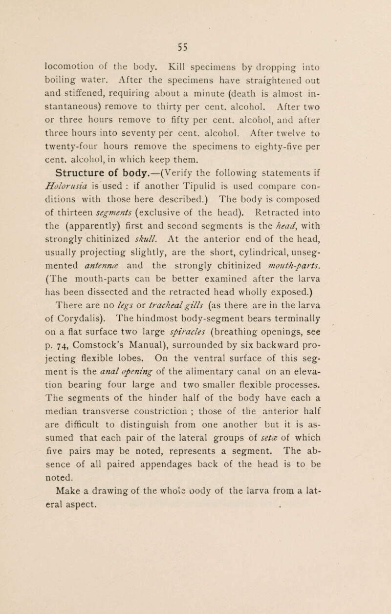 locomotion of the body. Kill specimens by dropping into boiling water. After the specimens have straightened out and stiffened, requiring about a minute (death is almost in¬ stantaneous) remove to thirty per cent, alcohol. After two or three hours remove to fifty per cent, alcohol, and after three hours into seventy per cent, alcohol. After twelve to twenty-four hours remove the specimens to eighty-five per cent, alcohol, in which keep them. Structure of body.—(Verify the following statements if Holorusia is used : if another Tipulid is used compare con¬ ditions with those here described.) The body is composed of thirteen segments (exclusive of the head). Retracted into the (apparently) first and second segments is the head, with strongly chitinized skull. At the anterior end of the head, usually projecting slightly, are the short, cylindrical, unseg¬ mented antennce and the strongly chitinized mouth-parts. (The mouth-parts can be better examined after the larva has been dissected and the retracted head wholly exposed.) There are no legs or tracheal gills (as there are in the larva of Corydalis). The hindmost body-segment bears terminally on a flat surface two large spiracles (breathing openings, see p. 74, Comstock’s Manual), surrounded by six backward pro¬ jecting flexible lobes. On the ventral surface of this seg¬ ment is the anal opening of the alimentary canal on an eleva¬ tion bearing four large and two smaller flexible processes. The segments of the hinder half of the body have each a median transverse constriction ; those of the anterior half are difficult to distinguish from one another but it is as¬ sumed that each pair of the lateral groups of setce of which five pairs may be noted, represents a segment. The ab¬ sence of all paired appendages back of the head is to be noted. Make a drawing of the whole oody of the larva from a lat¬ eral aspect.