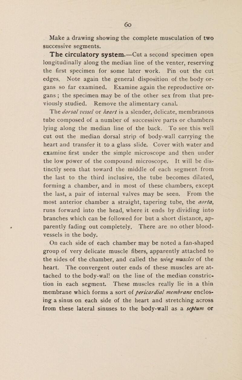 Make a drawing showing the complete musculation of two successive segments. The circulatory system.—Cut a second specimen open longitudinally along the median line of the venter, reserving the first specimen for some later work. Pin out the cut edges. Note again the general disposition of the body or¬ gans so far examined. Examine again the reproductive or¬ gans ; the specimen may be of the other sex from that pre¬ viously studied. Remove the alimentary canal. The dorsal vessel or heart is a slender, delicate, membranous tube composed of a number of successive parts or chambers lying along the median line of the back. To see this well cut out the median dorsal strip of body-wall carrying the heart and transfer it to a glass slide. Cover with water and examine first under the simple microscope and then under the low power of the compound microscope. It will be dis¬ tinctly seen that toward the middle of each segment from the last to the third inclusive, the tube becomes dilated, forming a chamber, and in most of these chambers, except the last, a pair of internal valves may be seen. From the most anterior chamber a straight, tapering tube, the aorta, runs forward into the head, where it ends by dividing into branches which can be followed for but a short distance, ap¬ parently fading out completely. There are no other blood¬ vessels in the body. On each side of each chamber may be noted a fan-shaped group of very delicate muscle fibers, apparently attached to the sides of the chamber, and called the wing muscles of the heart. The convergent outer ends of these muscles are at¬ tached to the body-wall on the line of the median constric¬ tion in each segment. These muscles really lie in a thin membrane which forms a sort of pericardial membrane enclos¬ ing a sinus on each side of the heart and stretching across from these lateral sinuses to the body-wall as a septum or
