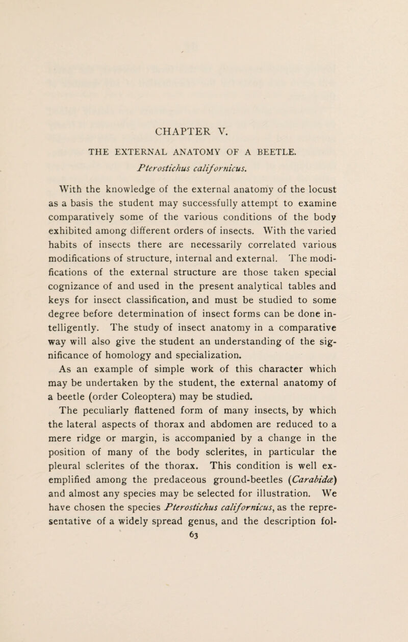 CHAPTER V. THE EXTERNAL ANATOMY OF A BEETLE. Pterostichus calif ornicus. With the knowledge of the external anatomy of the locust as a basis the student may successfully attempt to examine comparatively some of the various conditions of the body exhibited among different orders of insects. With the varied habits of insects there are necessarily correlated various modifications of structure, internal and external. The modi¬ fications of the external structure are those taken special cognizance of and used in the present analytical tables and keys for insect classification, and must be studied to some degree before determination of insect forms can be done in¬ telligently. The study of insect anatomy in a comparative way will also give the student an understanding of the sig¬ nificance of homology and specialization. As an example of simple work of this character which may be undertaken by the student, the external anatomy of a beetle (order Coleoptera) may be studied. The peculiarly flattened form of many insects, by which the lateral aspects of thorax and abdomen are reduced to a mere ridge or margin, is accompanied by a change in the position of many of the body sclerites, in particular the pleural sclerites of the thorax. This condition is well ex¬ emplified among the predaceous ground-beetles (Carabida) and almost any species may be selected for illustration. We have chosen the species Pterostichus calif ornicus, as the repre¬ sentative of a widely spread genus, and the description fol-
