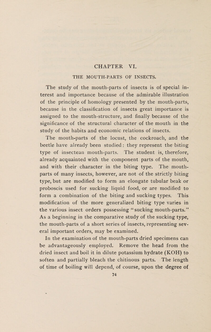 CHAPTER YI. THE MOUTH-PARTS OF INSECTS. The study of the mouth-parts of insects is of special in¬ terest and importance because of the admirable illustration of the principle of homology presented by the mouth-parts, because in the classification of insects great importance is assigned to the mouth-structure, and finally because of the significance of the structural character of the mouth in the study of the habits and economic relations of insects. The mouth-parts of the locust, the cockroach, and the beetle have already been studied: they represent the biting type of insectean mouth-parts. The student is, therefore, already acquainted with the component parts of the mouth, and with their character in the biting type. The mouth- parts of many insects, however, are not of the strictly biting type, but are modified to form an elongate tubular beak or proboscis used for sucking liquid food, or are modified to form a combination of the biting and sucking types. This modification of the more generalized biting type varies in the various insect orders possessing “sucking mouth-parts.” As a beginning in the comparative study of the sucking type, the mouth-parts of a short series of insects, representing sev¬ eral important orders, may be examined. In the examination of the mouth-parts dried specimens can be advantageously employed. Remove the head from the dried insect and boil it in dilute potassium hydrate (KOH) to soften and partially bleach the chitinous parts. The length of time of boiling will depend, of course, upon the degree of