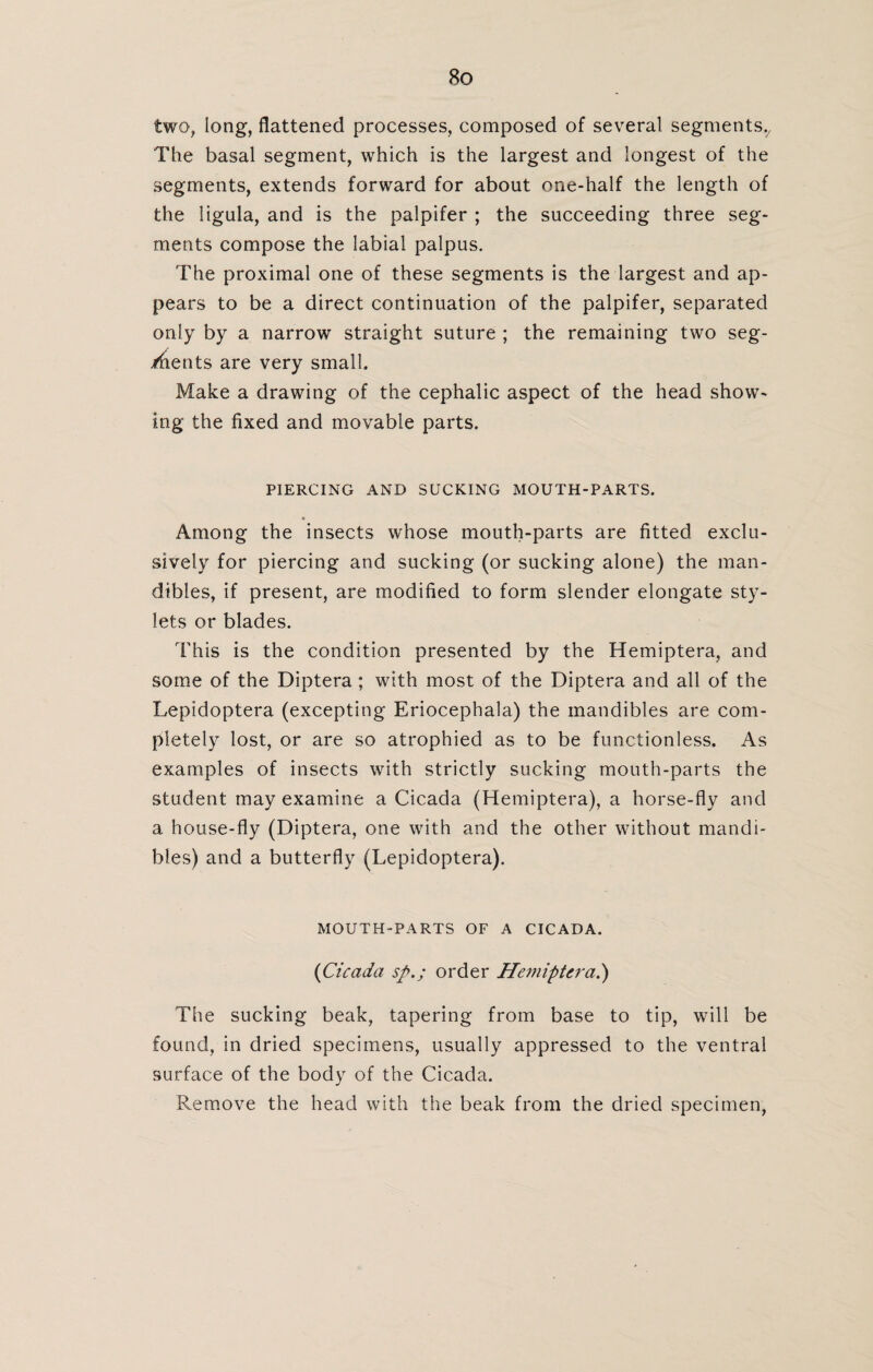 two, long, flattened processes, composed of several segments,/ The basal segment, which is the largest and longest of the segments, extends forward for about one-half the length of the ligula, and is the palpifer ; the succeeding three seg¬ ments compose the labial palpus. The proximal one of these segments is the largest and ap¬ pears to be a direct continuation of the palpifer, separated only by a narrow straight suture ; the remaining two seg¬ ments are very small. Make a drawing of the cephalic aspect of the head show¬ ing the fixed and movable parts. PIERCING AND SUCKING MOUTH-PARTS. Among the insects whose mouth-parts are fitted exclu¬ sively for piercing and sucking (or sucking alone) the man¬ dibles, if present, are modified to form slender elongate sty¬ lets or blades. This is the condition presented by the Hemiptera, and some of the Diptera; with most of the Diptera and all of the Lepidoptera (excepting Eriocephala) the mandibles are com¬ pletely lost, or are so atrophied as to be functionless. As examples of insects with strictly sucking mouth-parts the student may examine a Cicada (Hemiptera), a horse-fly and a house-fly (Diptera, one with and the other without mandi¬ bles) and a butterfly (Lepidoptera). MOUTH-PARTS OF A CICADA. (Cicada sp.; order Hemiptera.) The sucking beak, tapering from base to tip, will be found, in dried specimens, usually appressed to the ventral surface of the body of the Cicada. Remove the head with the beak from the dried specimen,