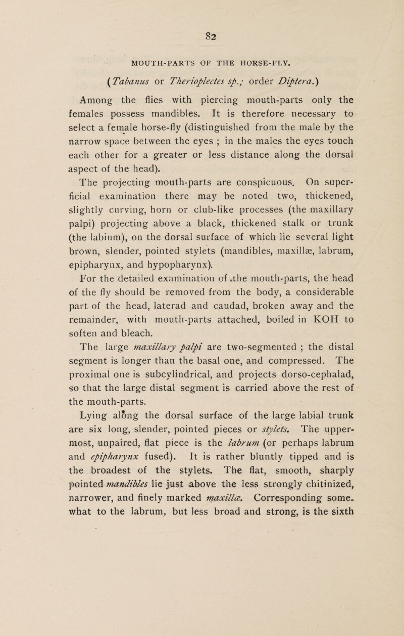 MOUTH-PARTS OF THE HORSE-FLY. ( Tab anus or Therioplectes sporder Dipt era.) Among the flies with piercing mouth-parts only the females possess mandibles. It is therefore necessary to select a female horse-fly (distinguished from the male by the narrow space between the eyes ; in the males the eyes touch each other for a greater or less distance along the dorsal aspect of the head). The projecting mouth-parts are conspicuous. On super¬ ficial examination there may be noted two, thickened, slightly curving, horn or club-like processes (the maxillary palpi) projecting above a black, thickened stalk or trunk (the labium), on the dorsal surface of which lie several light brown, slender, pointed stylets (mandibles, maxillae, labrum, epipharynx, and hypopharynx). For the detailed examination of»the mouth-parts, the head of the fly should be removed from the body, a considerable part of the head, laterad and caudad, broken away and the remainder, with mouth-parts attached, boiled in KOH to soften and bleach. The large maxillary palpi are two-segmented ; the distal segment is longer than the basal one, and compressed. The proximal one is subcylindrical, and projects dorso-cephalad, so that the large distal segment is carried above the rest of the mouth-parts. Lying along the dorsal surface of the large labial trunk are six long, slender, pointed pieces or stylets. The upper¬ most, unpaired, flat piece is the labrum (or perhaps labrum and epipharynx fused). It is rather bluntly tipped and is the broadest of the stylets. The flat, smooth, sharply pointed mandibles lie just above the less strongly chitinized, narrower, and finely marked maxillce. Corresponding some, what to the labrum, but less broad and strong, is the sixth