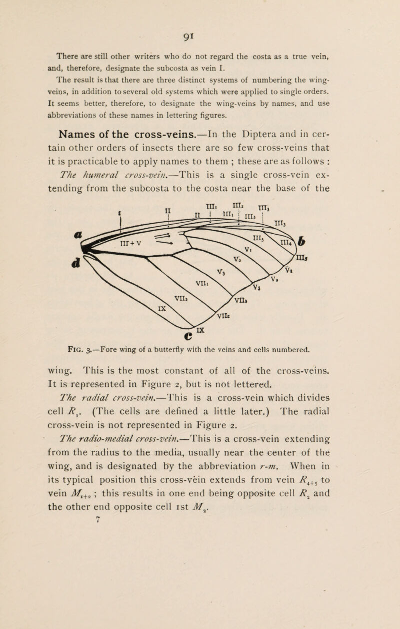 There are still other writers who do not regard the costa as a true vein, and, therefore, designate the subcosta as vein I. The result is that there are three distinct systems of numbering the wing- veins, in addition to several old systems which were applied to single orders. It seems better, therefore, to designate the wing-veins by names, and use abbreviations of these names in lettering figures. Names of the cross-veins.—In the Diptera and in cer¬ tain other orders of insects there are so few cross-veins that it is practicable to apply names to them ; these are as follows : The humeral cross-vein.—This is a single cross-vein ex¬ tending from the subcosta to the costa near the base of the Fig. 3.—Fore wing of a butterfly with the veins and cells numbered. wing. This is the most constant of all of the cross-veins. It is represented in Figure 2, but is not lettered. The radial cross-vein.—This is a cross-vein which divides cell Rx. (The cells are defined a little later.) The radial cross-vein is not represented in Figure 2. The radio-medial cross-vein.—This is a cross-vein extending from the radius to the media, usually near the center of the wing, and is designated by the abbreviation r-m. When in its typical position this cross-vein extends from vein W4+5 to vein Mt+2 ; this results in one end being opposite cell R, and the other end opposite cell 1st Mr ry l