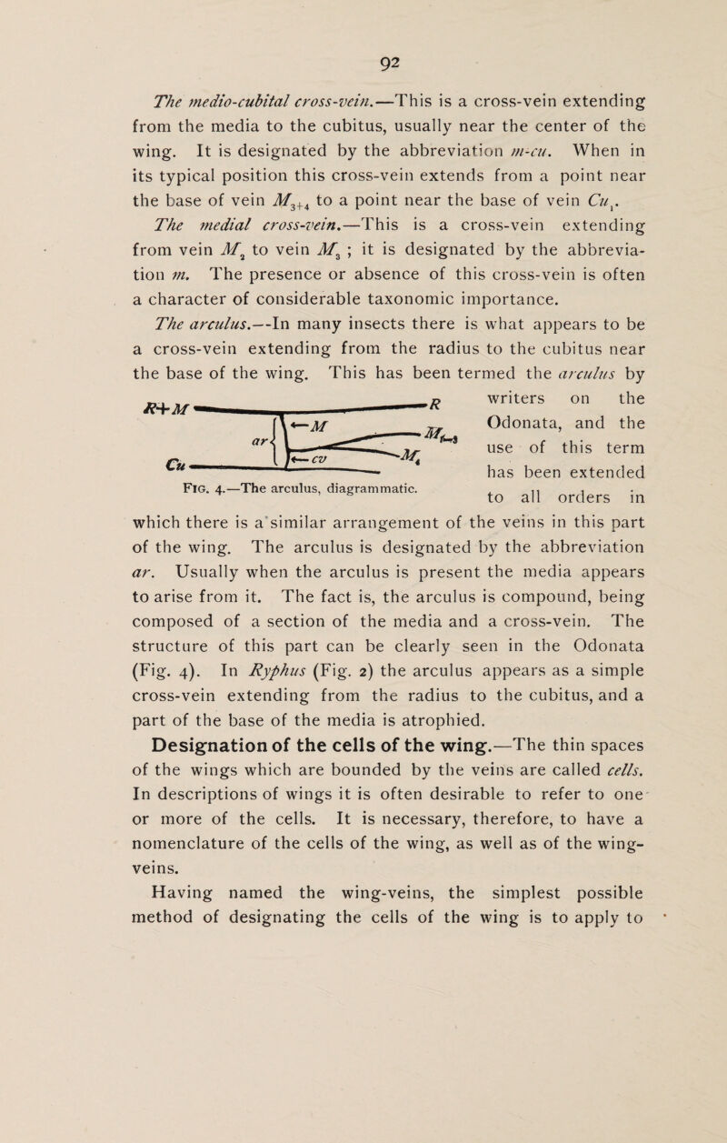 The medio-cubital cross-vein.—This is a cross-vein extending from the media to the cubitus, usually near the center of the wing. It is designated by the abbreviation m-cu. When in its typical position this cross-vein extends from a point near the base of vein J/3+4 to a point near the base of vein Cux. The medial cross-vein.—This is a cross-vein extending from vein M% to vein M% ; it is designated by the abbrevia¬ tion m. The presence or absence of this cross-vein is often a character of considerable taxonomic importance. The arculus.—In many insects there is what appears to be a cross-vein extending from the radius to the cubitus near the base of the wing. This has been termed the arculus by writers on the Odonata, and the use of this term has been extended to all orders in which there is a similar arrangement of the veins in this part of the wing. The arculus is designated by the abbreviation ar. Usually when the arculus is present the media appears to arise from it. The fact is, the arculus is compound, being composed of a section of the media and a cross-vein. The structure of this part can be clearly seen in the Odonata (Fig. 4). In Typhus (Fig. 2) the arculus appears as a simple cross-vein extending from the radius to the cubitus, and a part of the base of the media is atrophied. Designation of the cells of the wing.—The thin spaces of the wings which are bounded by the veins are called cells. In descriptions of wings it is often desirable to refer to one or more of the cells. It is necessary, therefore, to have a nomenclature of the cells of the wing, as well as of the wing- veins. Having named the wing-veins, the simplest possible method of designating the cells of the wing is to apply to