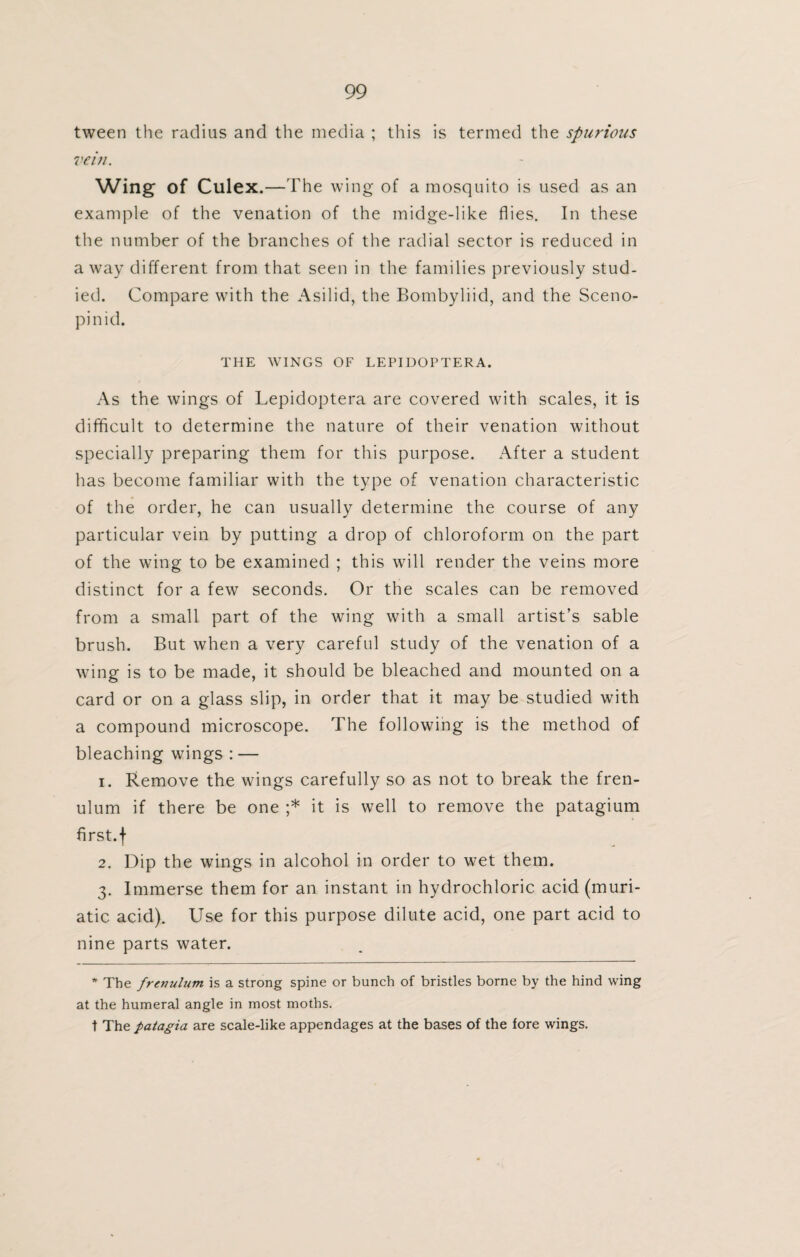 tween the radius and the media ; this is termed the spurious vein. Wing of Culex.—The wing of a mosquito is used as an example of the venation of the midge-like flies. In these the number of the branches of the radial sector is reduced in away different from that seen in the families previously stud¬ ied. Compare with the Asilid, the Bombyliid, and the Sceno- pi n id. THE WINGS OF LEPIDOPTERA. As the wings of Lepidoptera are covered with scales, it is difficult to determine the nature of their venation without specially preparing them for this purpose. After a student has become familiar with the type of venation characteristic of the order, he can usually determine the course of any particular vein by putting a drop of chloroform on the part of the wing to be examined ; this will render the veins more distinct for a few seconds. Or the scales can be removed from a small part of the wing with a small artist’s sable brush. But when a very careful study of the venation of a wing is to be made, it should be bleached and mounted on a card or on a glass slip, in order that it may be studied with a compound microscope. The following is the method of bleaching wings : — 1. Remove the wings carefully so as not to break the fren¬ ulum if there be one ;* it is well to remove the patagium first, f 2. Dip the wings in alcohol in order to wet them. 3. Immerse them for an instant in hydrochloric acid (muri¬ atic acid). Use for this purpose dilute acid, one part acid to nine parts water. * The frenulum is a strong spine or bunch of bristles borne by the hind wing at the humeral angle in most moths. t The patagia are scale-like appendages at the bases of the fore wings.