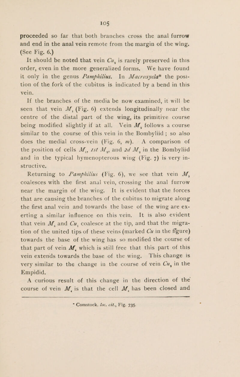 io5 proceeded so far that both branches cross the anal furrow and end in the anal vein remote from the margin of the wing. (See Fig. 6.) It should be noted that vein is rarely preserved in this order, even in the more generalized forms. We have found it only in the genus Pamphilius. In Macroxyela* the posi¬ tion of the fork of the cubitus is indicated by a bend in this vein. If the branches of the media be now examined, it will be seen that vein (Fig. 6) extends longitudinally near the centre of the distal part of the wing, its primitive course being modified slightly if at all. Vein M2 follows a course similar to the course of this vein in the Bombyliid ; so also does the medial cross-vein (Fig. 6, m). A comparison of the position of cells Mn ist d/2, and 2d Ma in the Bombyliid and in the typical hymenopterous wing (Fig. 7) is very in¬ structive. Returning to Pamphilius (Fig. 6), we see that vein Ma coalesces with the first anal vein, crossing the anal furrow near the margin of the wing. It is evident that the forces that are causing the branches of the cubitus to migrate along the first anal vein and towards the base of the wing are ex¬ erting a similar influence on this vein. It is also evident that vein J/( and Cu} coalesce at the tip, and that the migra¬ tion of the united tips of these veins (marked Cu in the figure) towards the base of the wing has so modified the course of that part of vein MK which is still free that this part of this vein extends towards the base of the wing. This change is very similar to the change in the course of vein C119 in the Empidid. A curious result of this change in the direction of the course of vein is that the cell M. has been closed and 4 4 * Comstock, loc. cit., Fig. 735.