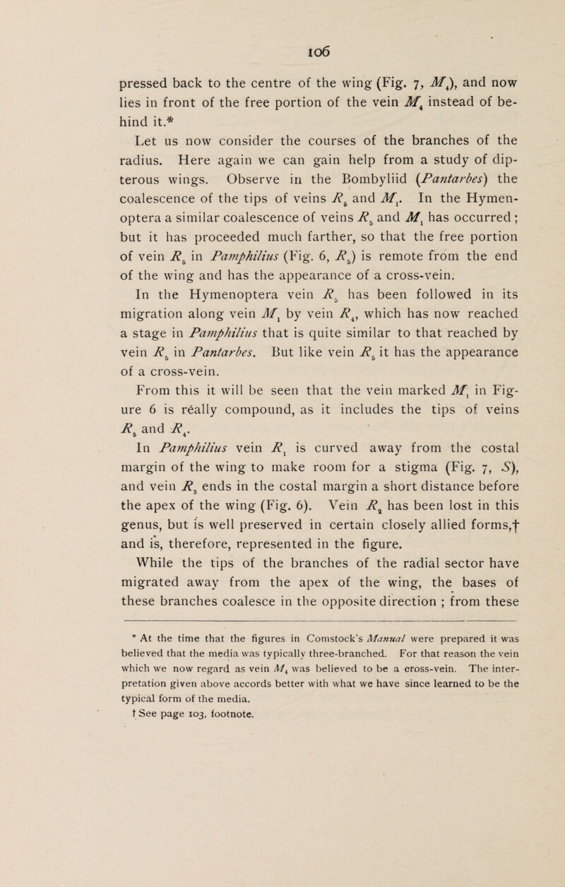io6 pressed back to the centre of the wing (Fig. 7, M4), and now lies in front of the free portion of the vein M4 instead of be¬ hind it.* Let us now consider the courses of the branches of the radius. Here again we can gain help from a study of dip¬ terous wings. Observe in the Bombyliid (Pantarbes) the coalescence of the tips of veins Rb and Mx. In the Hymen- optera a similar coalescence of veins R5 and Mx has occurred ; but it has proceeded much farther, so that the free portion of vein _/?. in Pamphilius (Fig. 6, Rb) is remote from the end of the wing and has the appearance of a cross-vein. In the Hymenoptera vein Rrj has been followed in its migration along vein Mx by vein Rv which has now reached a stage in Pamphilius that is quite similar to that reached by vein Rb in Pantarbes. But like vein Rb it has the appearance of a cross-vein. From this it will be seen that the vein marked Mx in Fig¬ ure 6 is really compound, as it includes the tips of veins R. and Rx. 5 4 In Pamphilius vein Rx is curved away from the costal margin of the wing to make room for a stigma (Fig. 7, S), and vein R3 ends in the costal margin a short distance before the apex of the wing (Fig. 6). Vein R9 has been lost in this genus, but is well preserved in certain closely allied forms,f and is, therefore, represented in the figure. While the tips of the branches of the radial sector have migrated away from the apex of the wing, the bases of these branches coalesce in the opposite direction ; from these * At the time that the figures in Comstock’s Manual were prepared it was believed that the media was typically three-branched. For that reason the vein which we now regard as vein Mt was believed to be a cross-vein. The inter¬ pretation given above accords better with what we have since learned to be the typical form of the media, t See page 103, footnote.