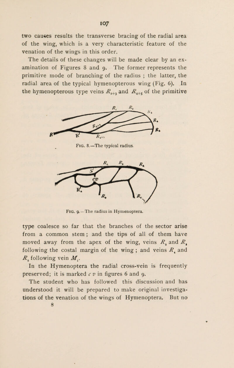 two causes results the transverse bracing of the radial area of the wing, which is a very characteristic feature of the venation of the wings in this order. The details of these changes will be made clear by an ex¬ amination of Figures 8 and 9. The former represents the primitive mode of branching of the radius ; the latter, the radial area of the typical hymenopterous wing (Fig. 6). In the hymenopterous type veins R2+3 and R4+s of the primitive Fig. 8.—The typical radius. Fig. 9.—The radius in Hymenoptera. type coalesce so far that the branches of the sector arise from a common stem ; and the tips of all of them have moved away from the apex of the wing, veins R% and Rt following the costal margin of the wing ; and veins and Rb following vein Mx. In the Hymenoptera the radial cross-vein is frequently preserved; it is marked c v in figures 6 and 9. The student who has followed this discussion and has understood it will be prepared to make original investiga¬ tions of the venation of the wings of Hymenoptera. But no 8