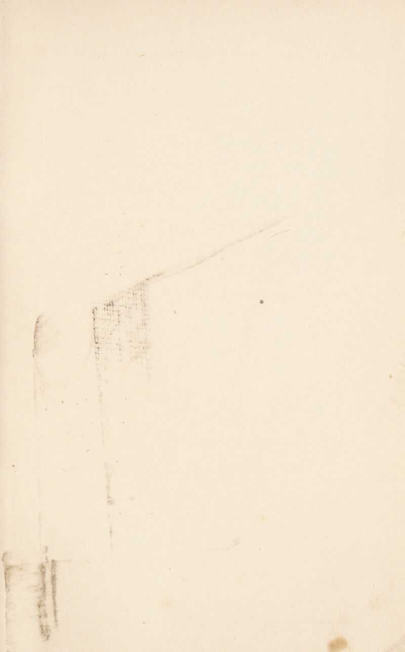 -• S-V , v r . - : 8 * V: ' HU . • ■ ¥ y ■ r *' - *% * v i‘-- - £ * *