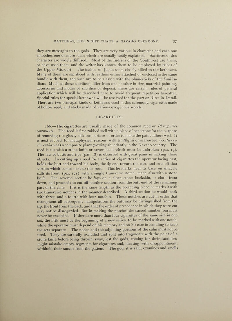 they are messages to the gods. They are very various in character and each one embodies one or more ideas which are usually easily explained. Sacrifices of this character are widely diffused. Most of the Indians of the Southwest use them, or have used them, and the writer has known them to be employed by tribes of the Upper Missouri. The inahos of Japan seem closely allied to the kethawns. Many of them are sacrificed with feathers either attached or enclosed in the same bundle with them, and such are to be classed with the plumesticks of the Zuni In¬ dians. Much as these sacrifices differ from one another in size, material, painting, accessories and modes of sacrifice or deposit, there are certain rules of general application which will be described here to avoid frequent repetition hereafter. Special rules for special kethawns will be reserved for the part on Rites in Detail. There are two principal kinds of kethawns used in this ceremony, cigarettes made of hollow reed, and sticks made of various exogenous woods. CIGARETTES. 166.—The cigarettes are usually made of the common reed or Phragmites communis. The reed is first rubbed well with a piece of sandstone for the purpose of removing the glossy silicious surface in order to make the paint adhere well. It is next rubbed, for metaphysical reasons, with tnDilgi'si or scareweed {Gutierre- zia euthamice) a composite plant growing abundantly in the Navaho country. The reed is cut with a stone knife or arrow head which must be unbroken (par. 19). The law of butts and tips (par. 18) is observed with great pains in making these objects. In cutting up a reed for a series of cigarettes the operator facing east, holds the butt end toward his body, the tip end toward the east, and cuts off that section which comes next to the root. This he marks near its base, on what he calls its front (par. 171) with a single transverse notch, made also with a stone knife. The severed section he lays on a clean stone, buckskin, or cloth, front down, and proceeds to cut off another section from the butt end of the remaining part of the cane. If it is the same length as the preceding piece he marks it with two transverse notches in the manner described. A third section he would mark with three, and a fourth with four notches. These notches are cut in order that throughout all subsequent manipulations the butt may be distinguished from the tip, the front from the back, and that the order of precedence in which they were cut may not be disregarded. But in making the notches the sacred number four must never be exceeded. If there are more than four cigarettes of the same size in one set, the fifth must be the beginning of a new series, to be marked with one notch, while the operator must depend on his memory and on his care in handling to keep the sets separate. The nodes and the adjoining portions of the culm must not be used. They are carefully excluded and split into fragments with the point of a stone knife before being thrown away, lest the gods, coming for their sacrifices, might mistake empty segments for cigarettes and, meeting with disappointment, withhold their succor from the patient. The god, it is said, examines and smells